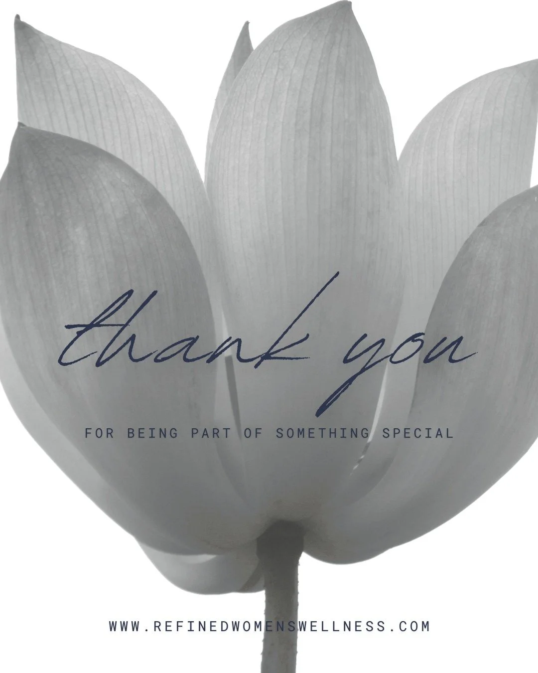 Thank You for a Truly Meaningful Evening 🤍

Our Women&rsquo;s Wellness Evening with Dr. Windom and Dr. Needham was incredibly special &mdash; and it was made that way by each of you who showed up with openness, curiosity, and a willingness to be par