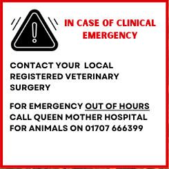 "In case of clinical emergency" sign with contact information for local veterinary surgery and Queen Mother Hospital for Animals with phone number 01707 666399.