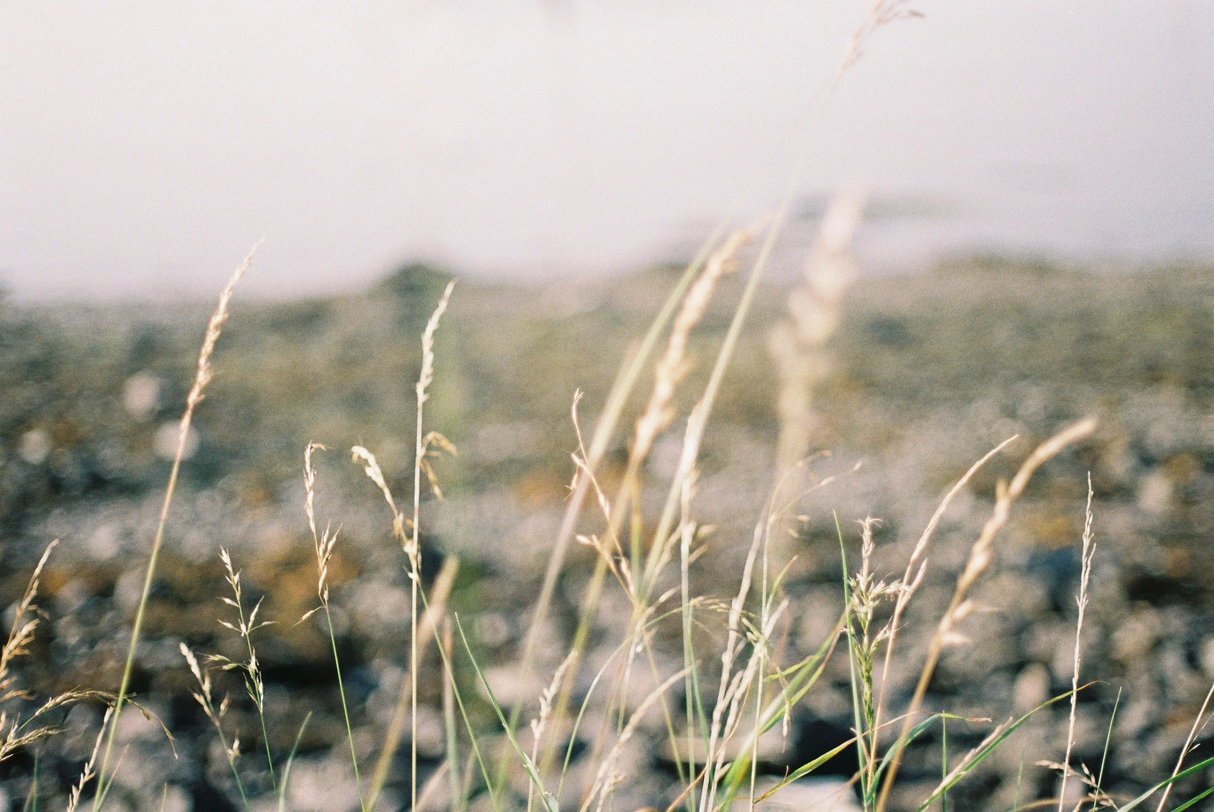 Literally Anything Can Happen