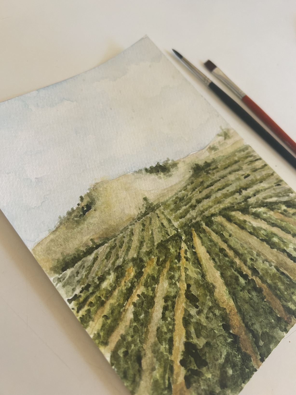 Watercolor at Pour Choice 6/10: Intro to Landscape
