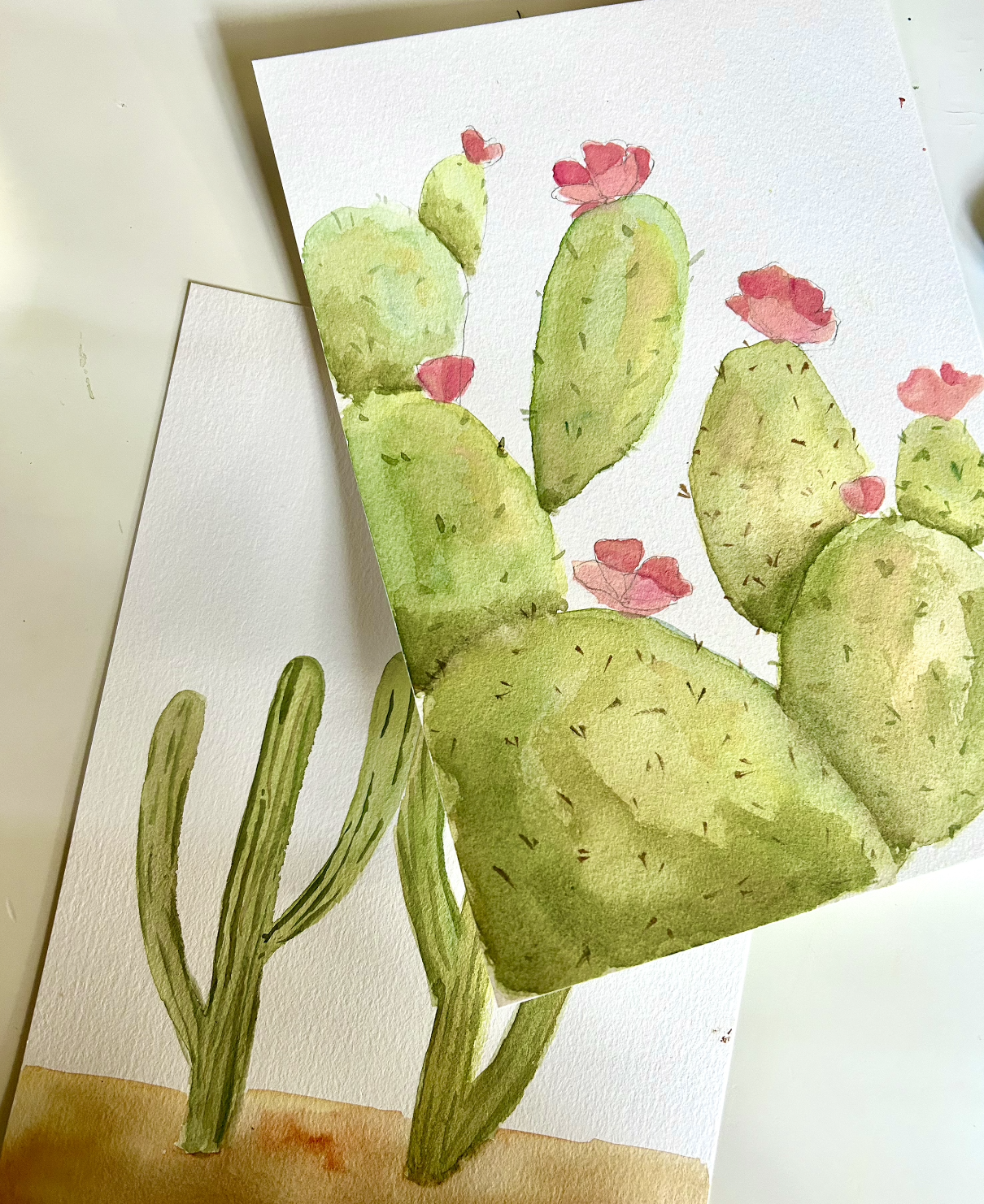 Watercolor: Cactuses