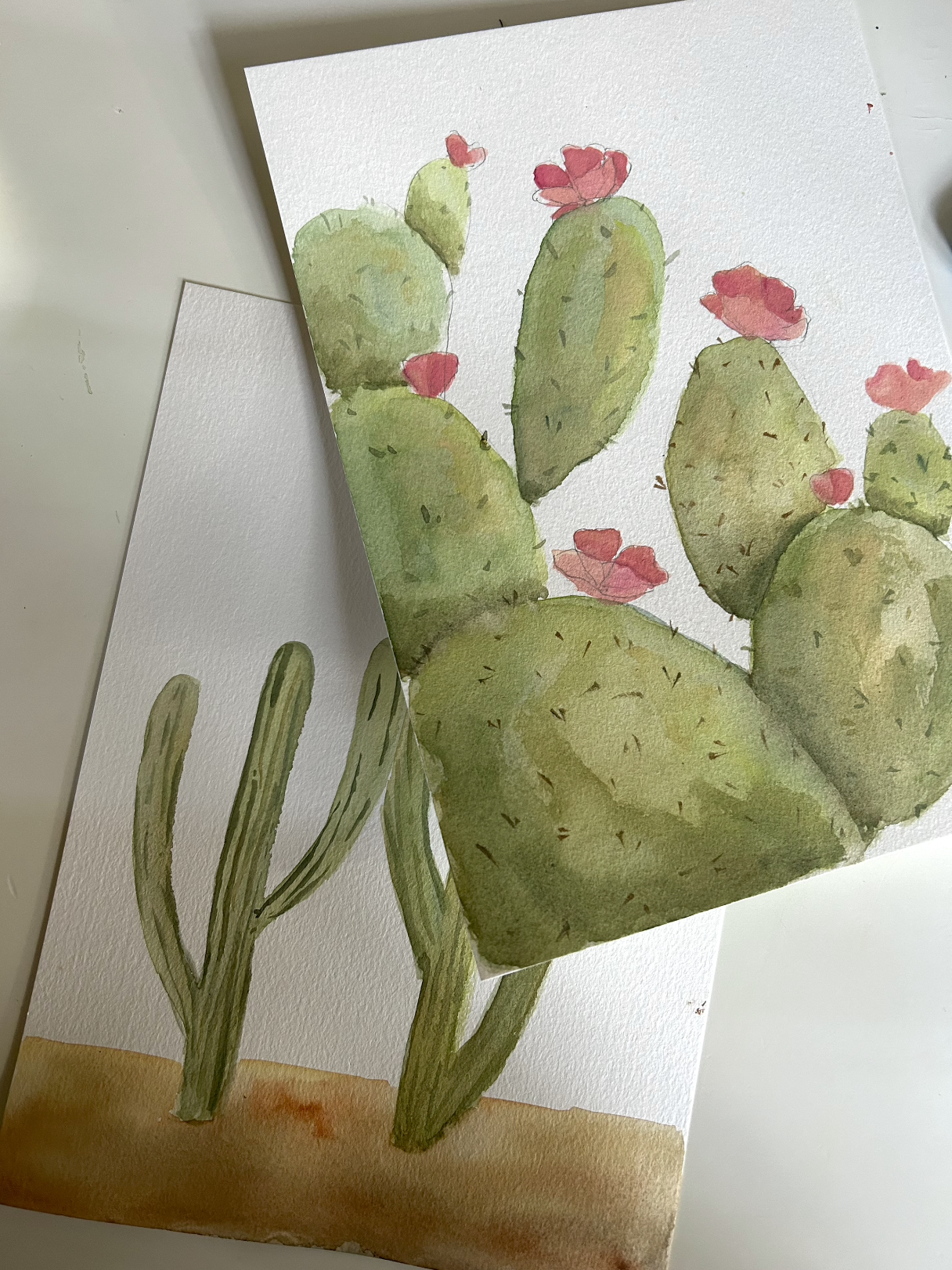 Watercolor at Headlands 5/20: Cactuses