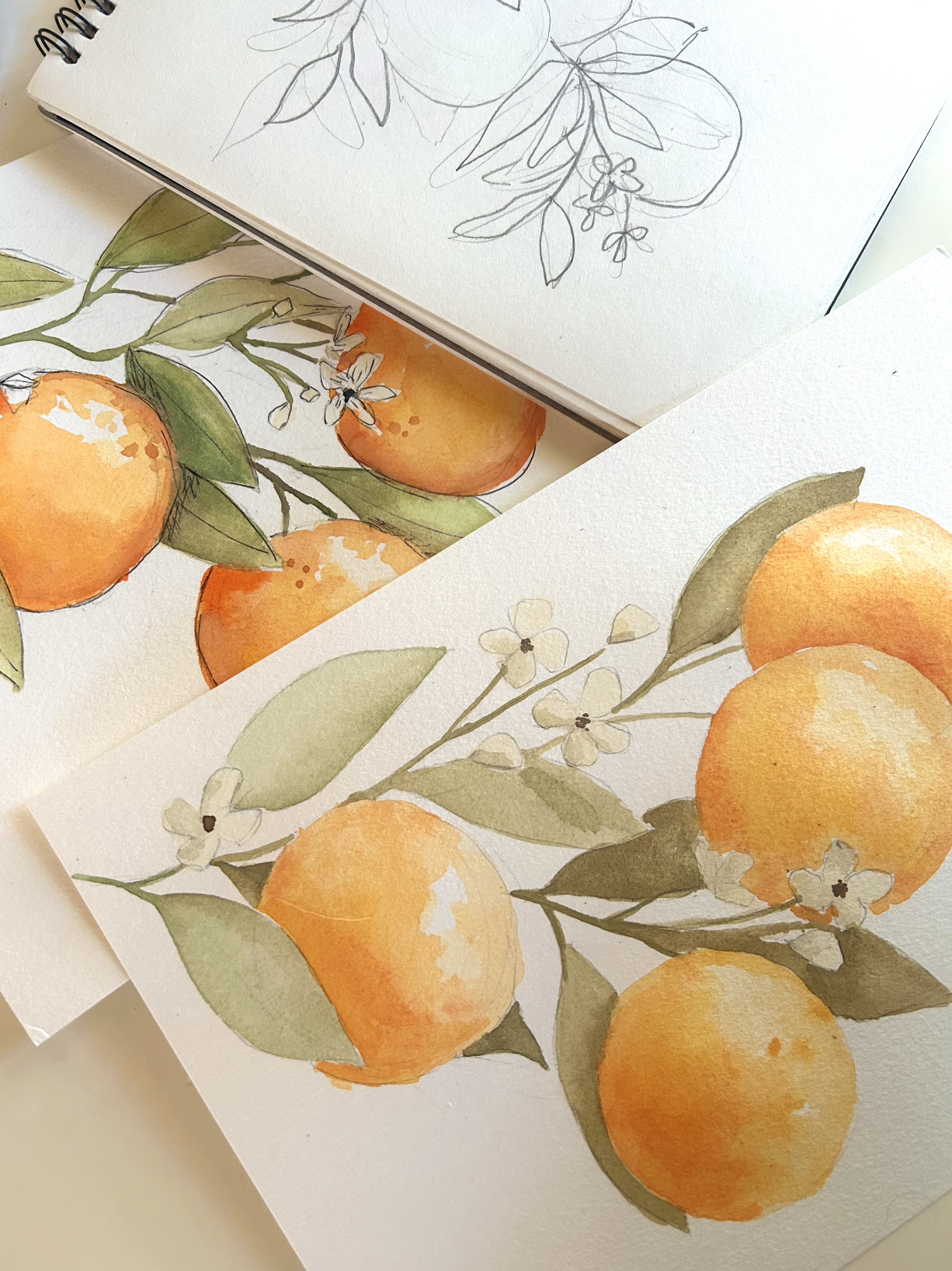 Paint & Sip at the Millhouse 6/9: Orange Blossoms
