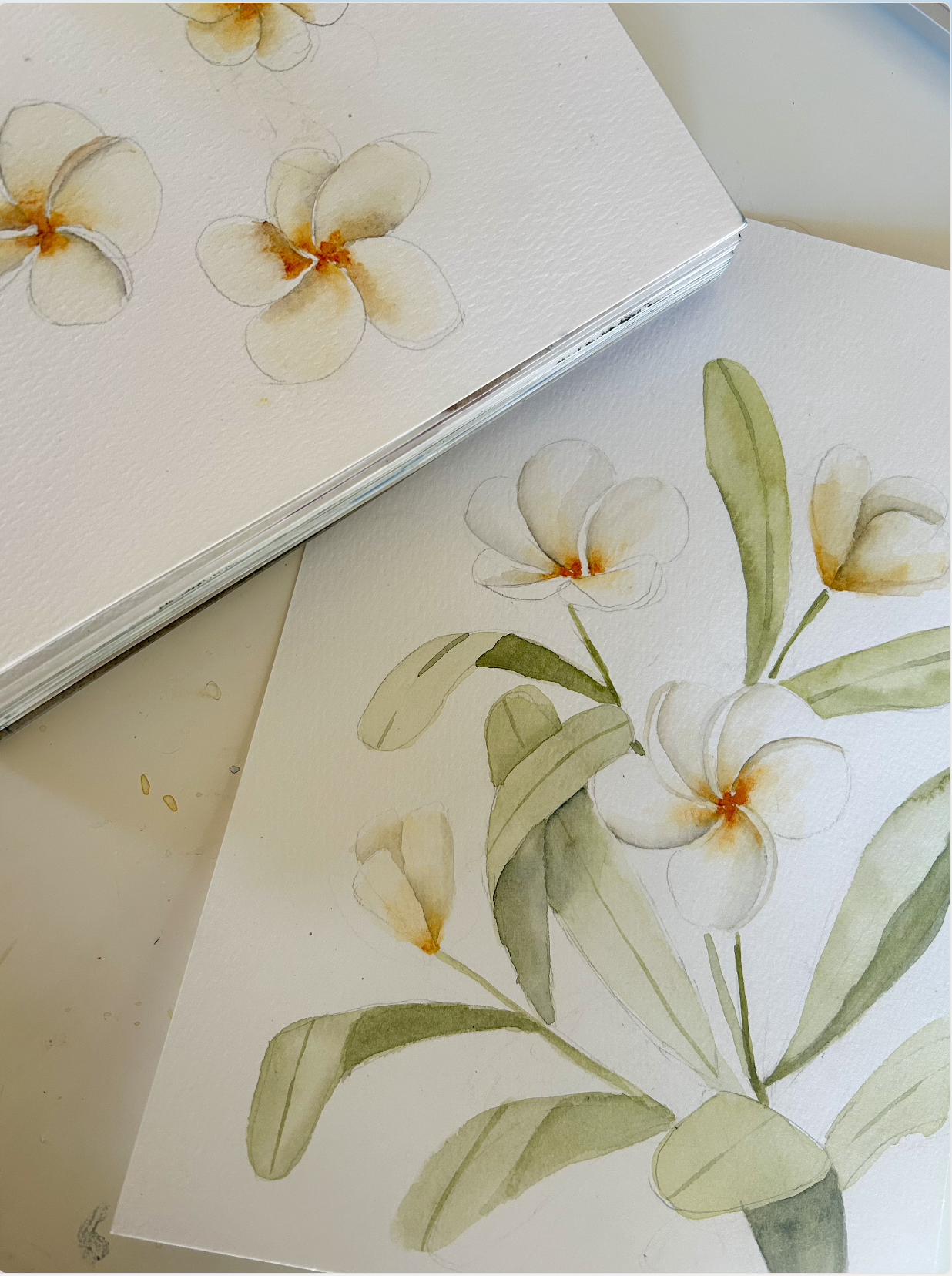 7/25 The Hillmont:  Plumeria (Auburn, CA)