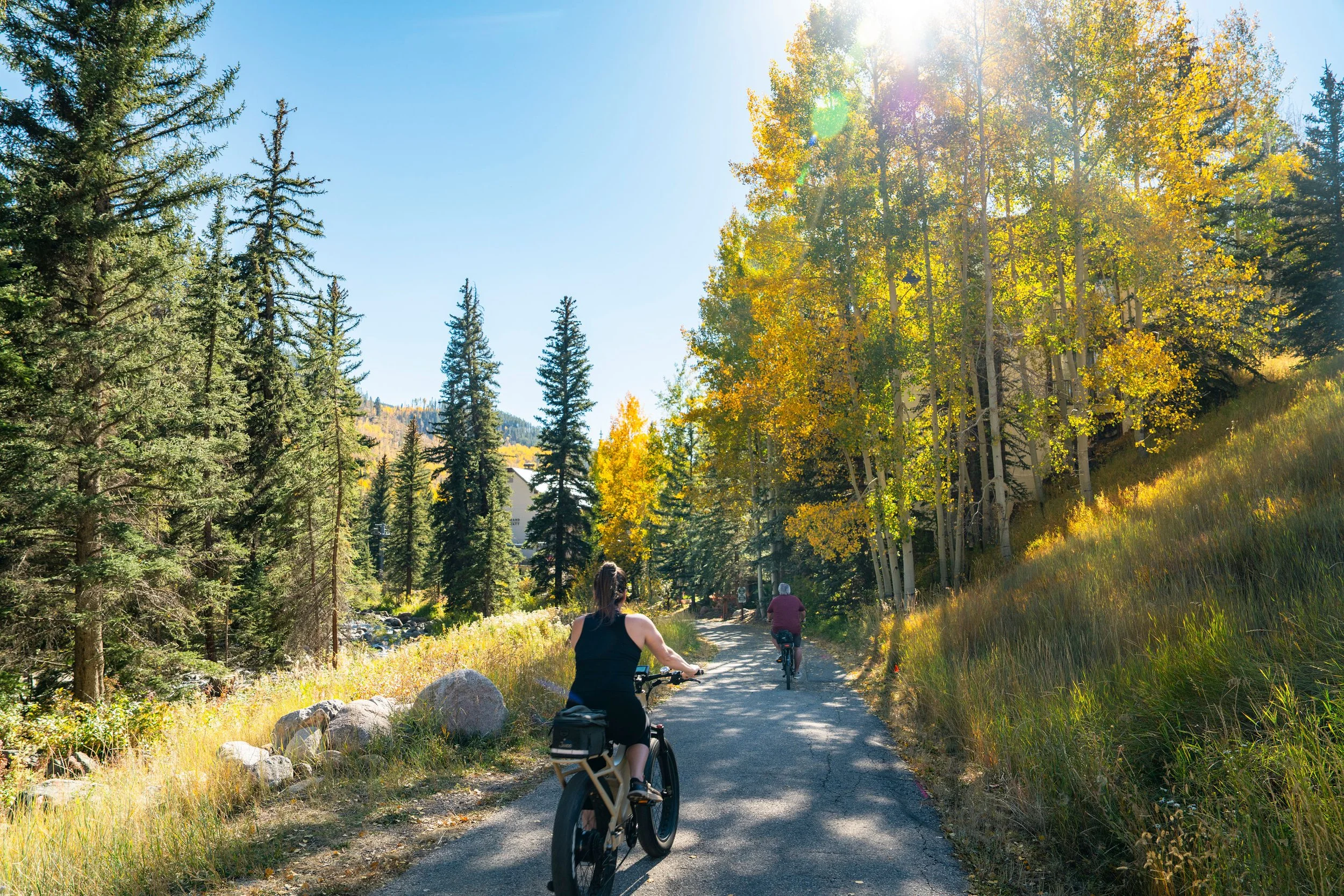 Two people biking on a trail surrounded by tall pine and aspen trees with autumn foliage under a bright blue sky.