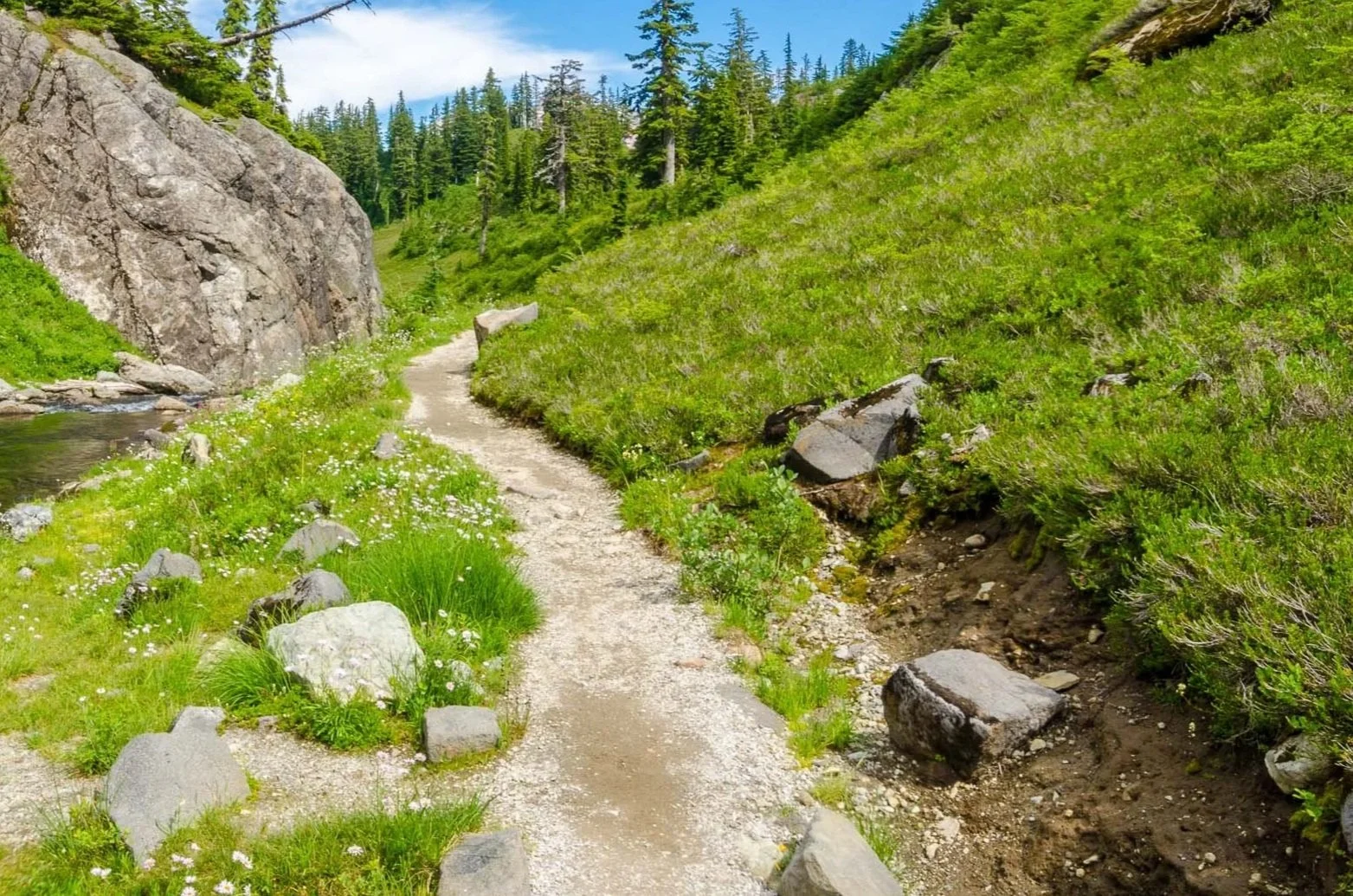 A narrow dirt trail running alongside a small stream with rocks, surrounded by lush green grass and dense trees in a forested mountainside landscape.