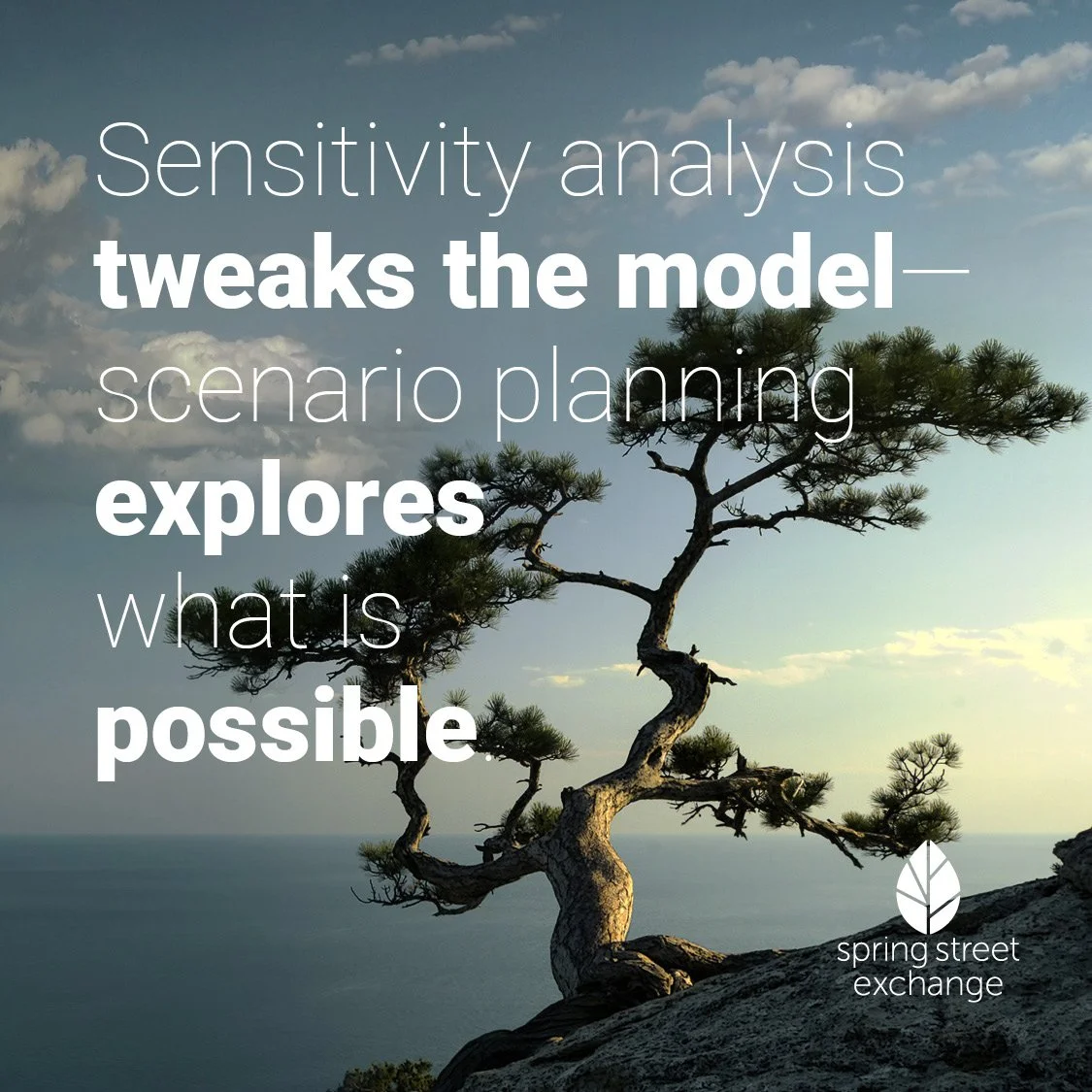 Navigating the Unknown: Sensitivity Analysis and Scenario Planning