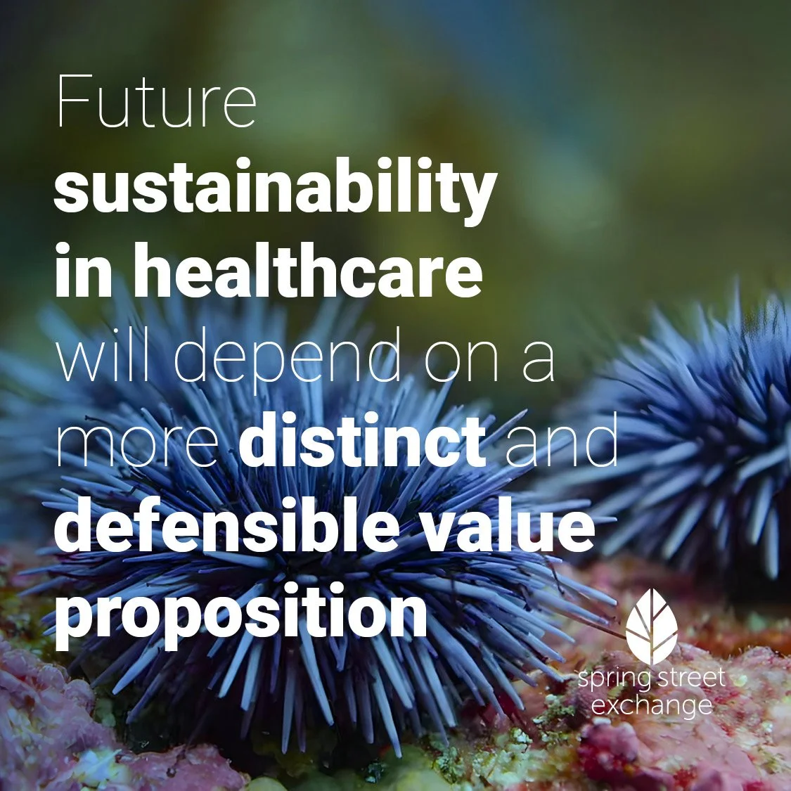 Tests of a Good Strategy