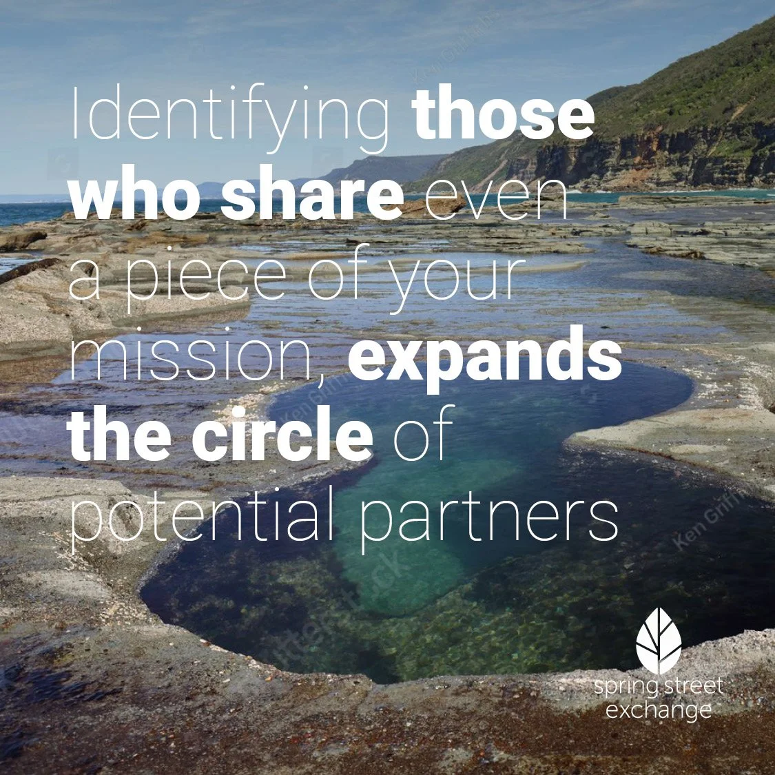 Partnership Alignment Matrix