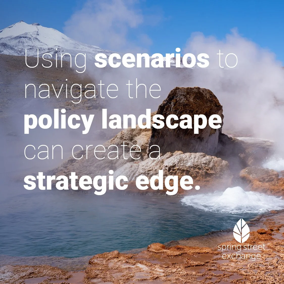 Scenarios in the Policy Landscape