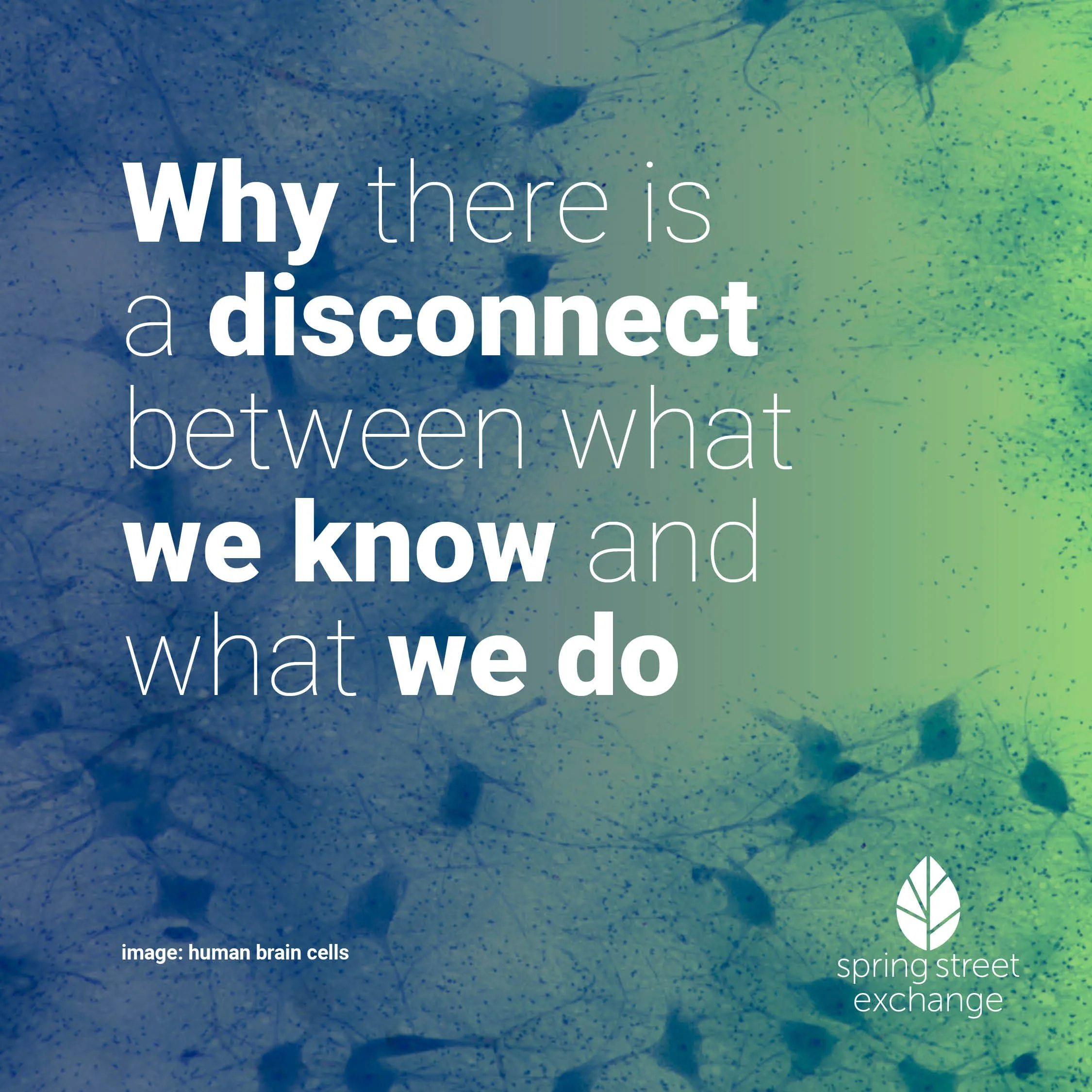The Disconnect: What we know vs what we do