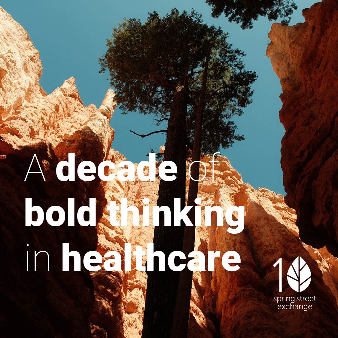 Spring Street Turns 10!