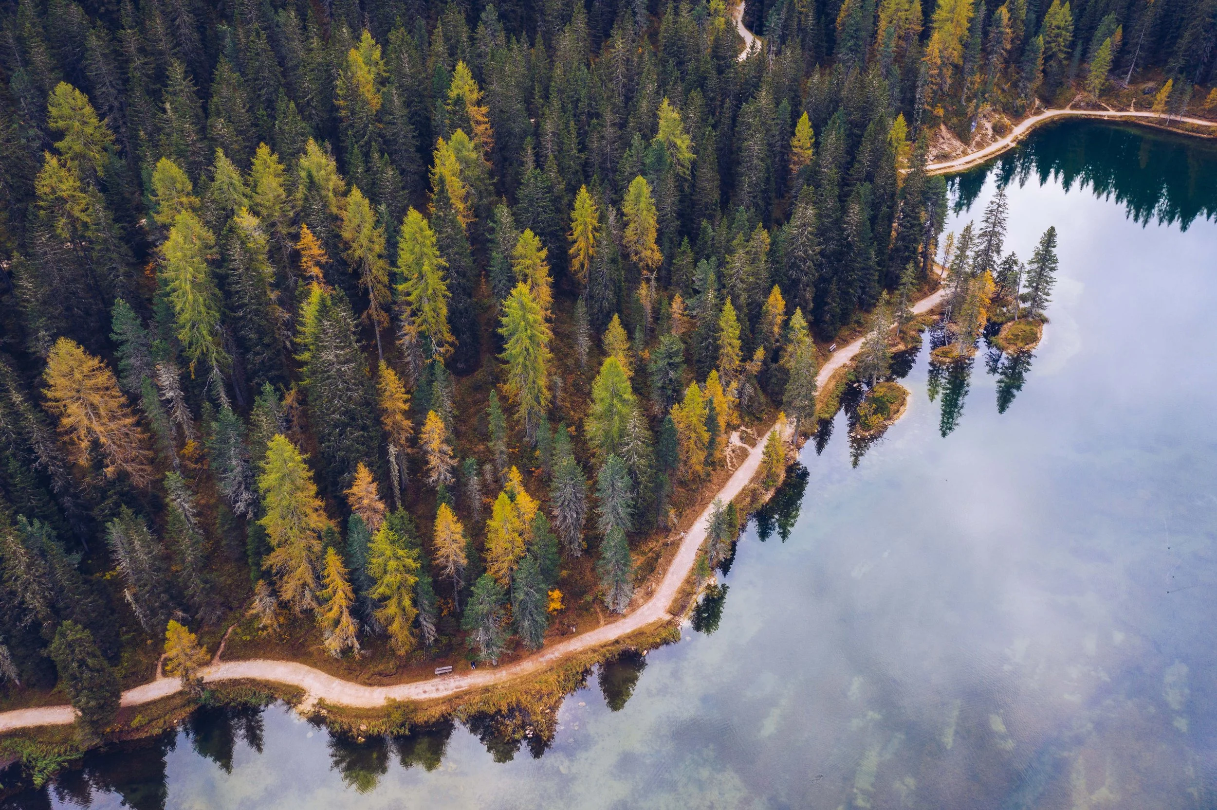 Aerial view of a dense forest along a lake shore, with a narrow dirt trail running parallel to the water, some boats docked along the shoreline, surrounded by autumn-colored trees.