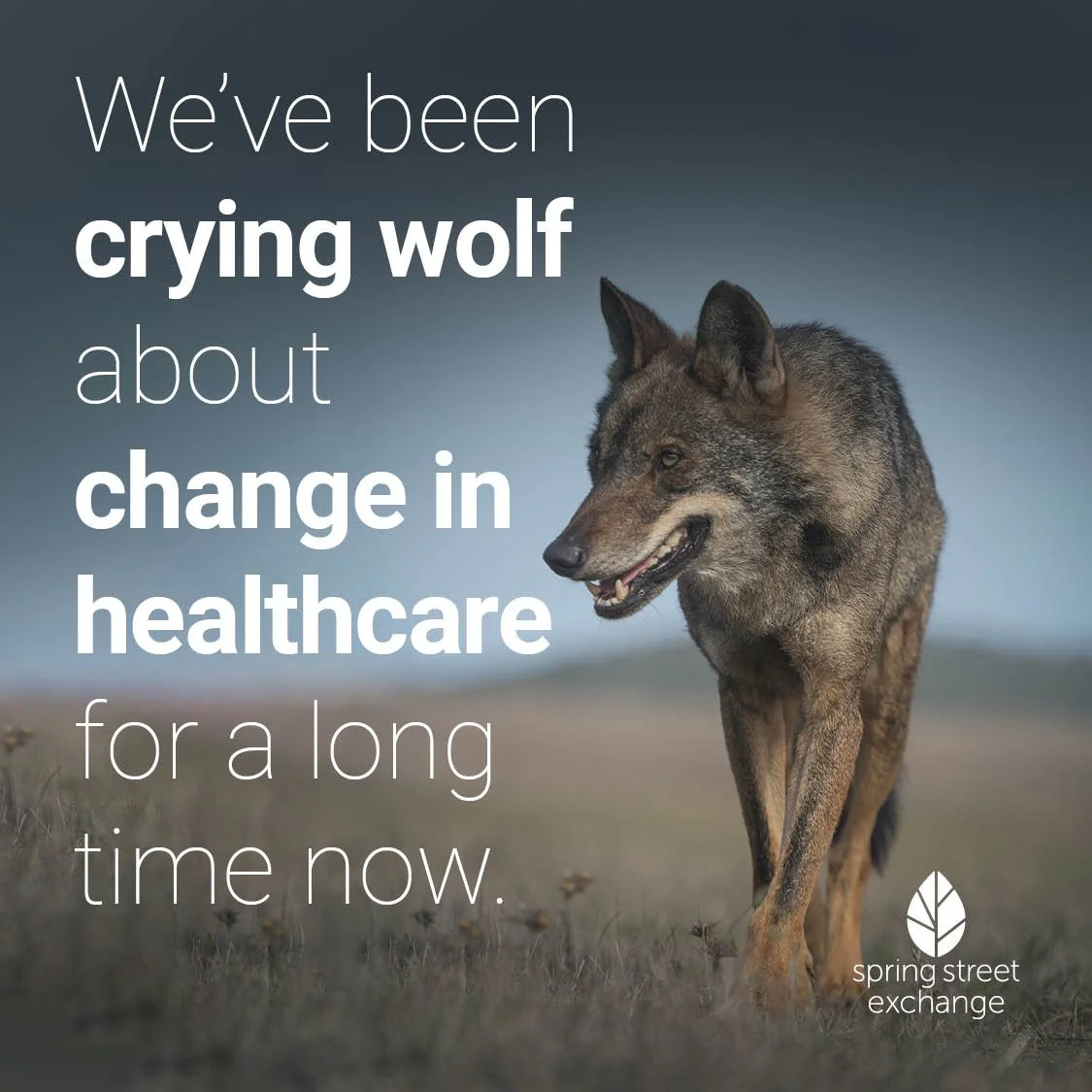 Transformational Needs in Healthcare