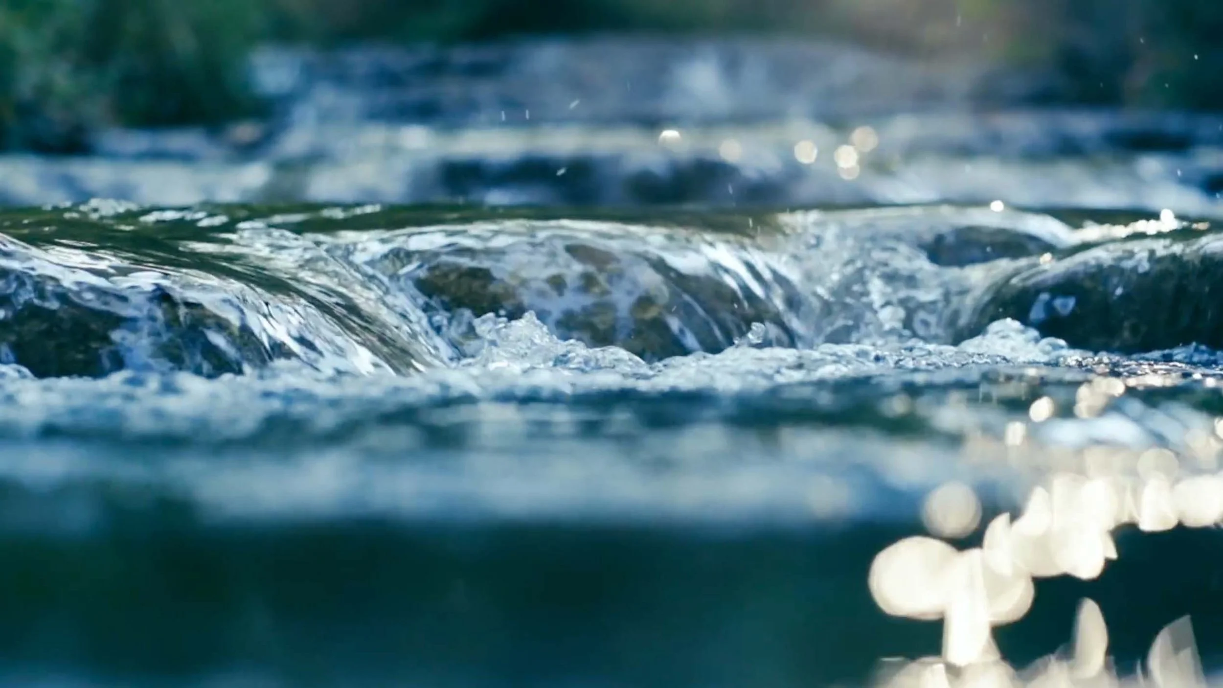 ssx-home-hero-river-grab-20260916.jpg