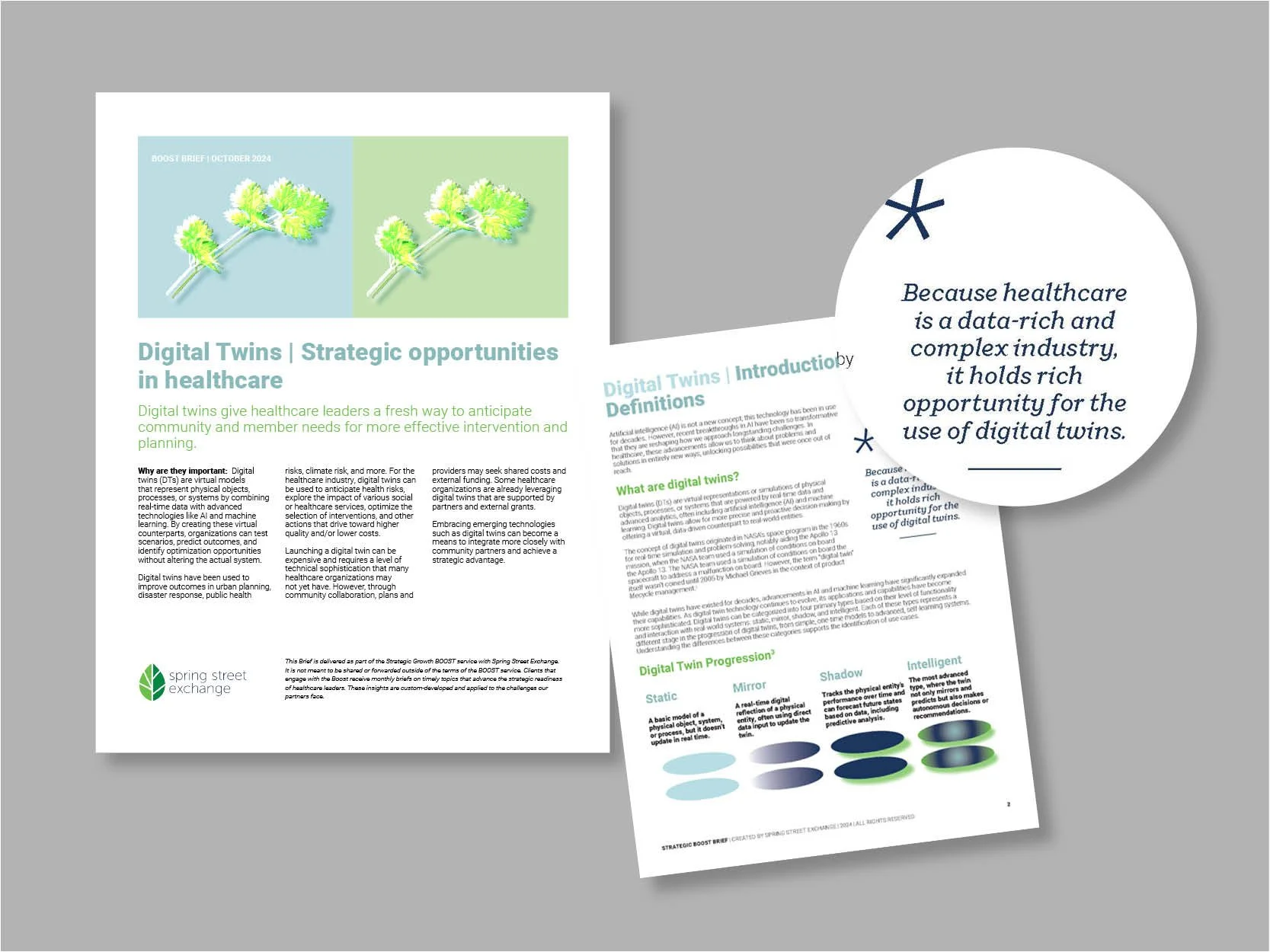 SSX portfolio of deliverables_cx9.jpg
