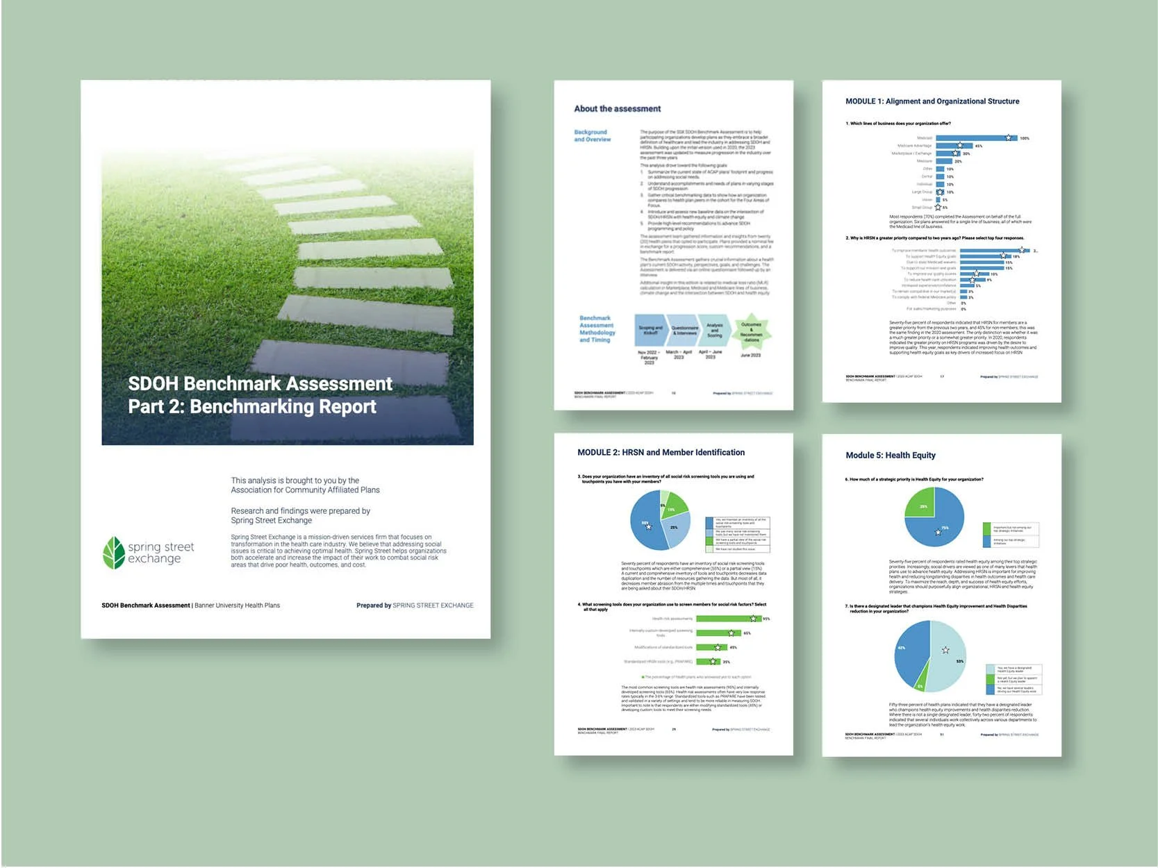 SSX portfolio of deliverables_cx.jpg