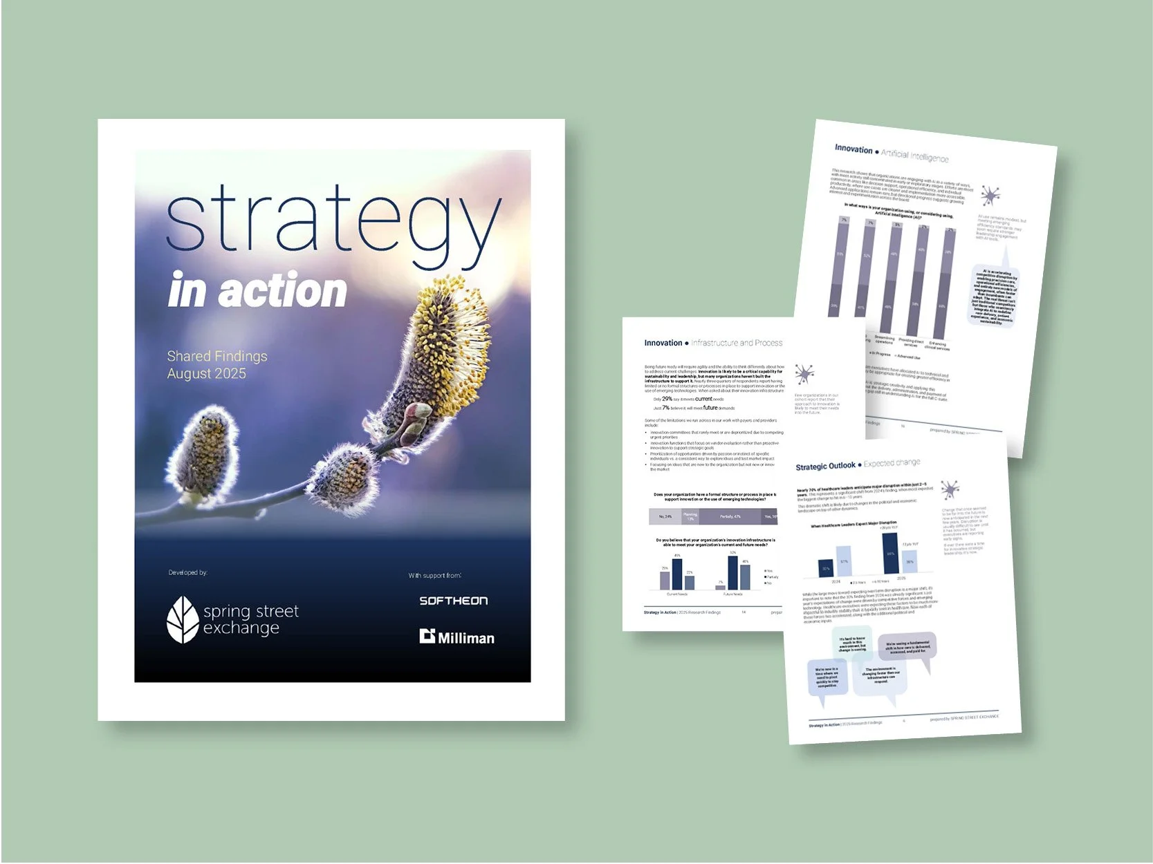 Data Report from the Strategy in Action Survey 2025