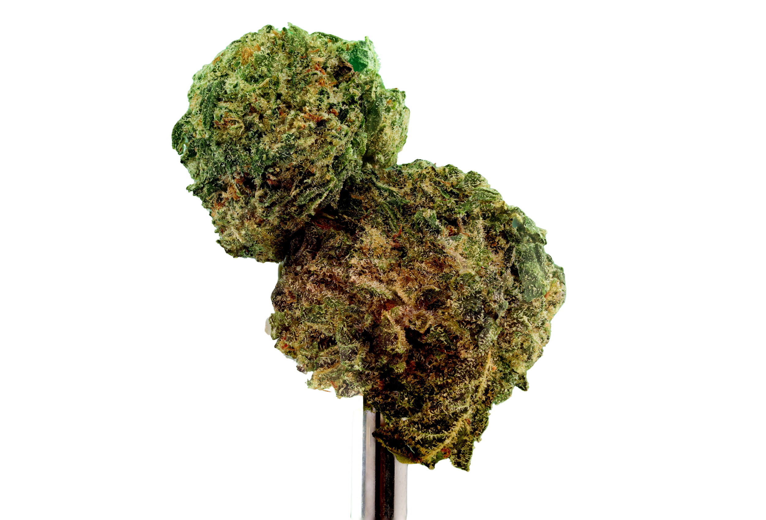 Two cannabis buds on a white stick against a black background.