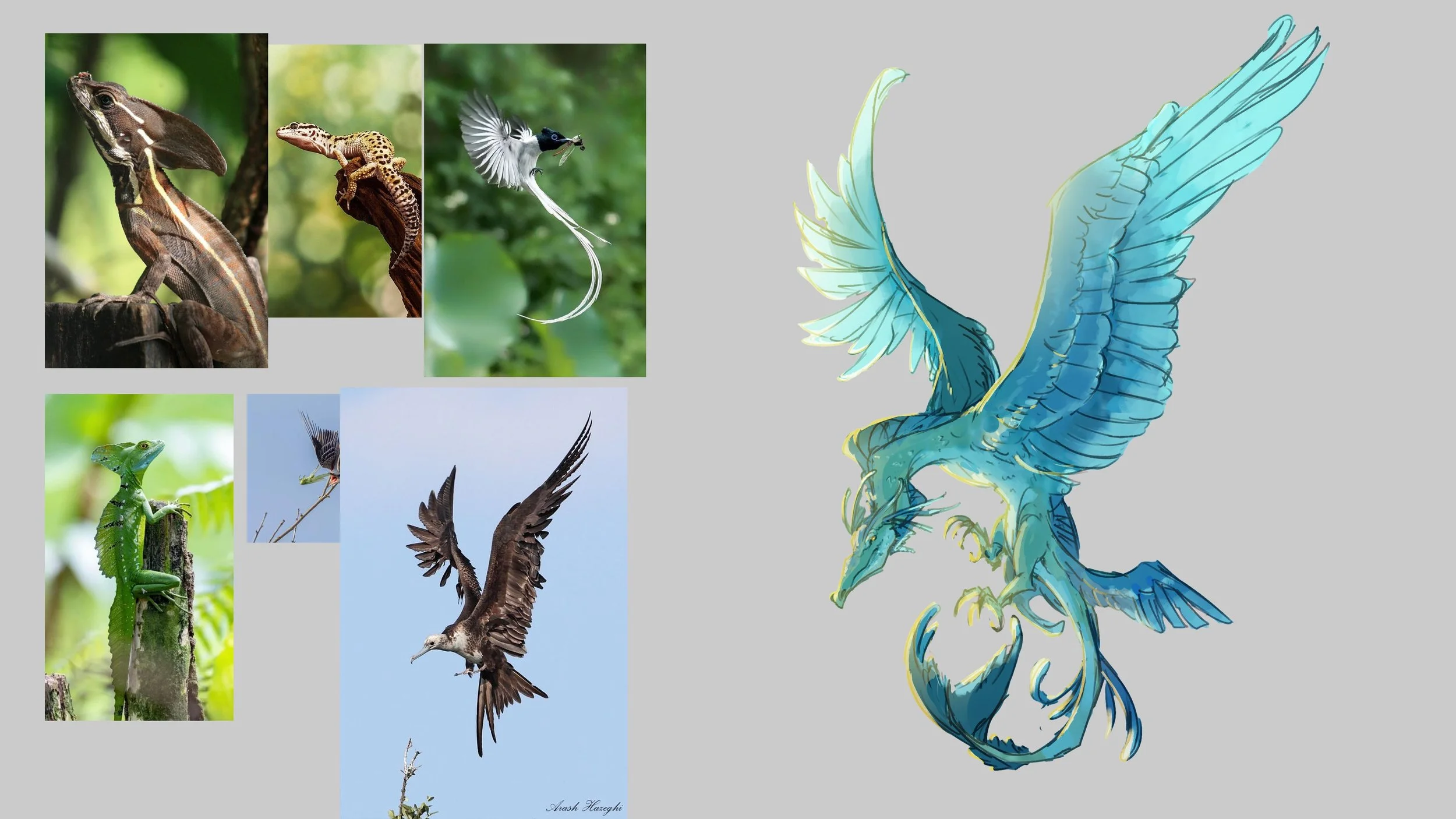 Sky Serpent Exploration