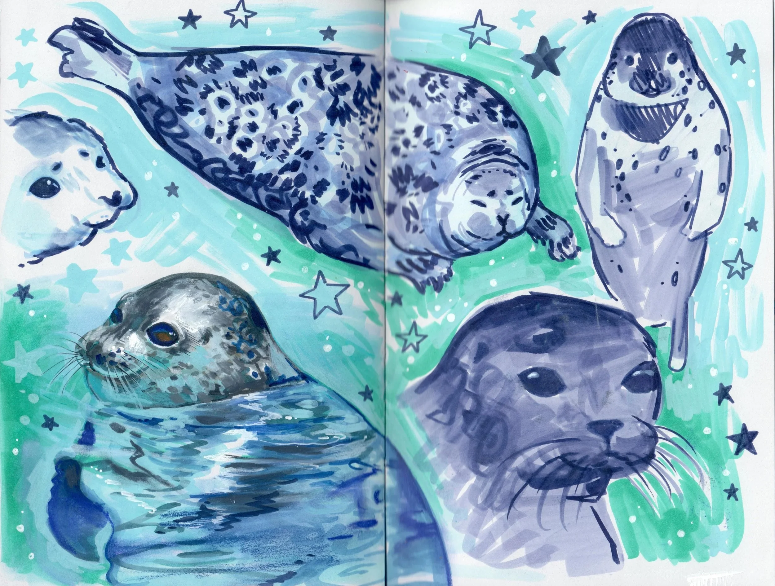 fat+seals.jpg
