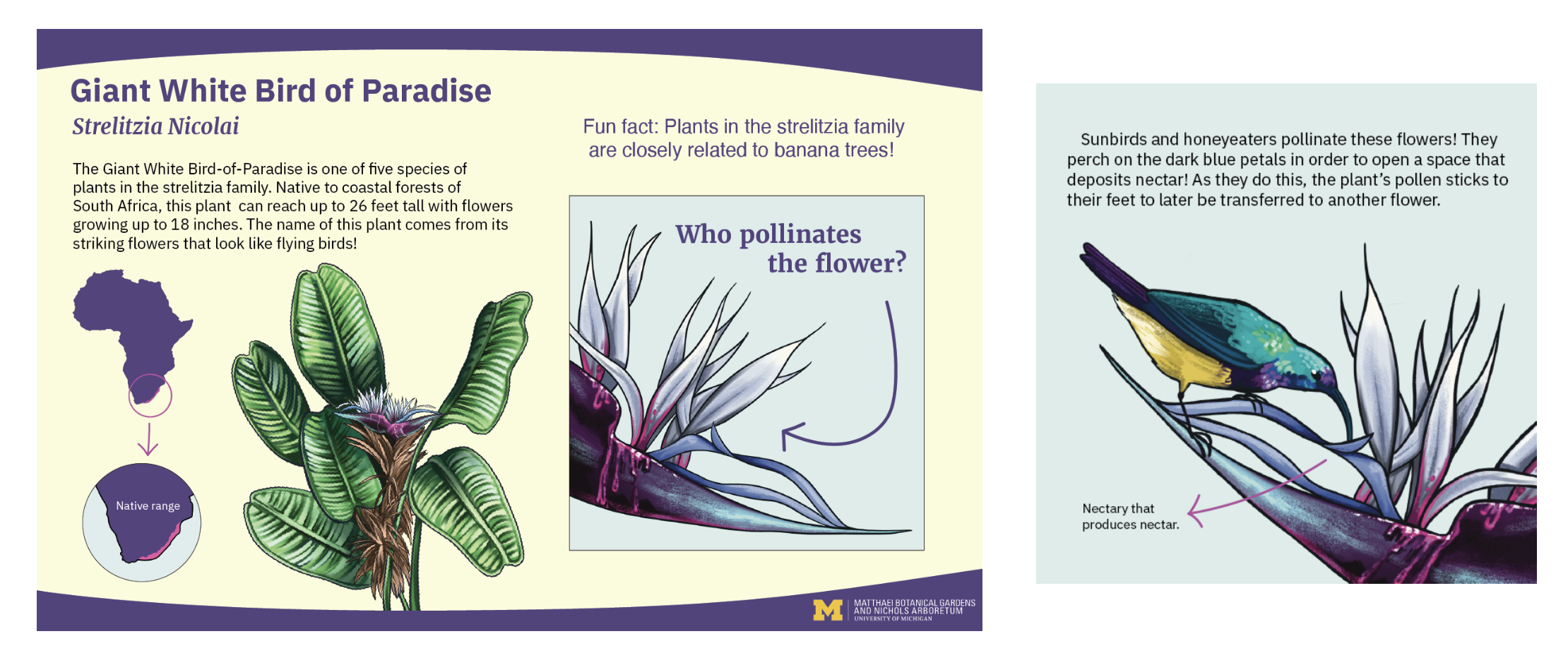 Screenshot 2026-03-01 at 10.50.35 PM.png