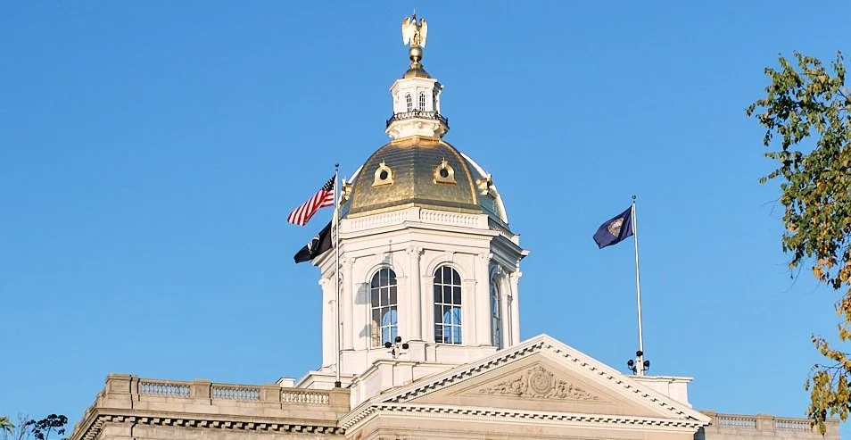 Speak Up, NH: Tools for Driving Change in State Government