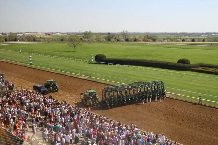 Crowd of spectators watching horse race at the racetrack, with starting gates and jockeys in colorful silks preparing for the race, set against a lush green landscape under a clear sky.