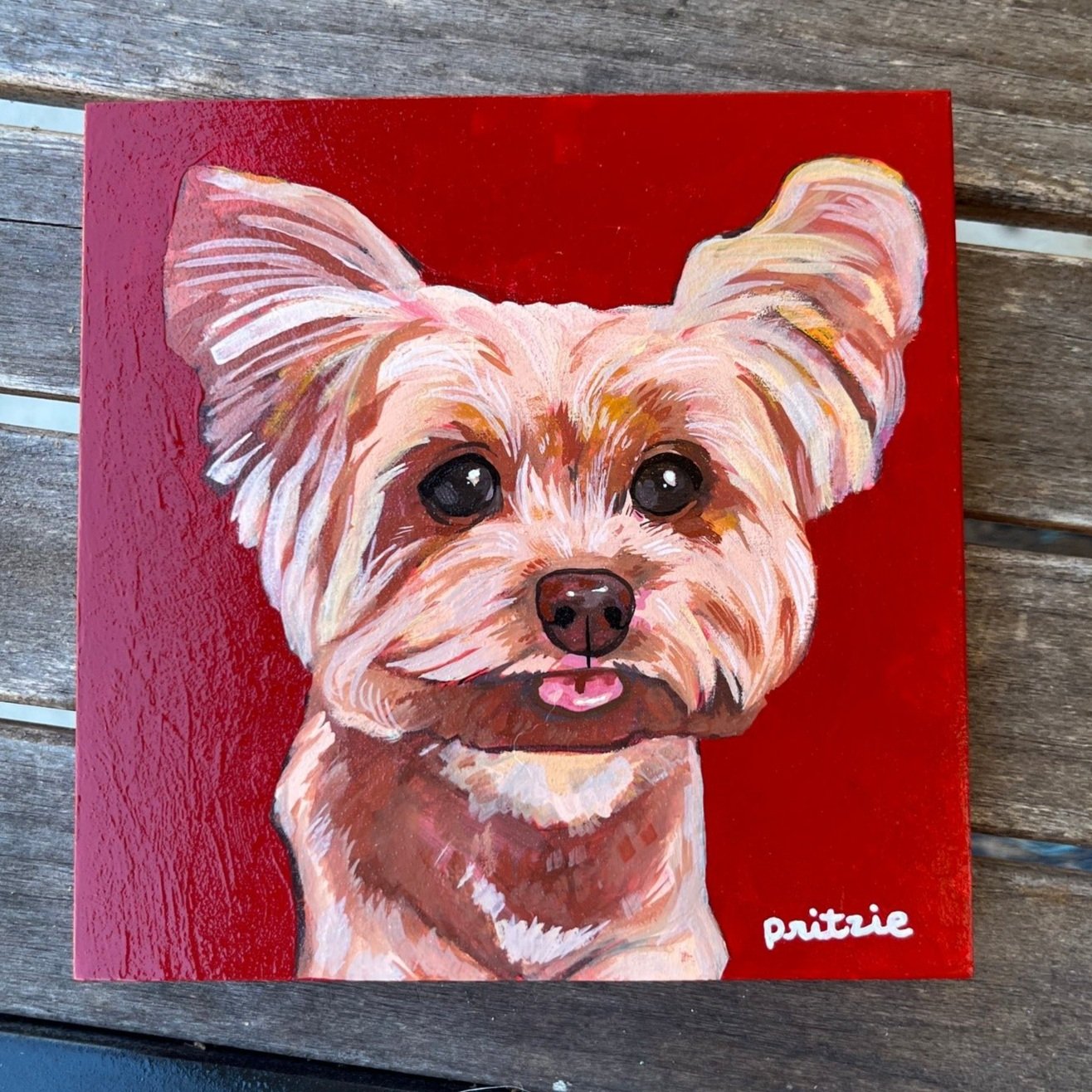 Painting of a small dog, possibly a Yorkshire Terrier, with a red background. The dog has large dark eyes, a black nose, and its tongue slightly sticking out. The artist's signature, 'paitzie,' appears in white at the bottom right corner.