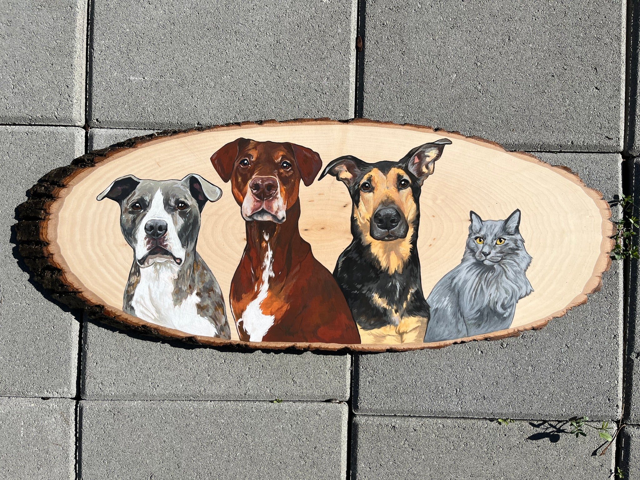 Painted wooden sign featuring four animals: two dogs and two cats, on a sidewalk.