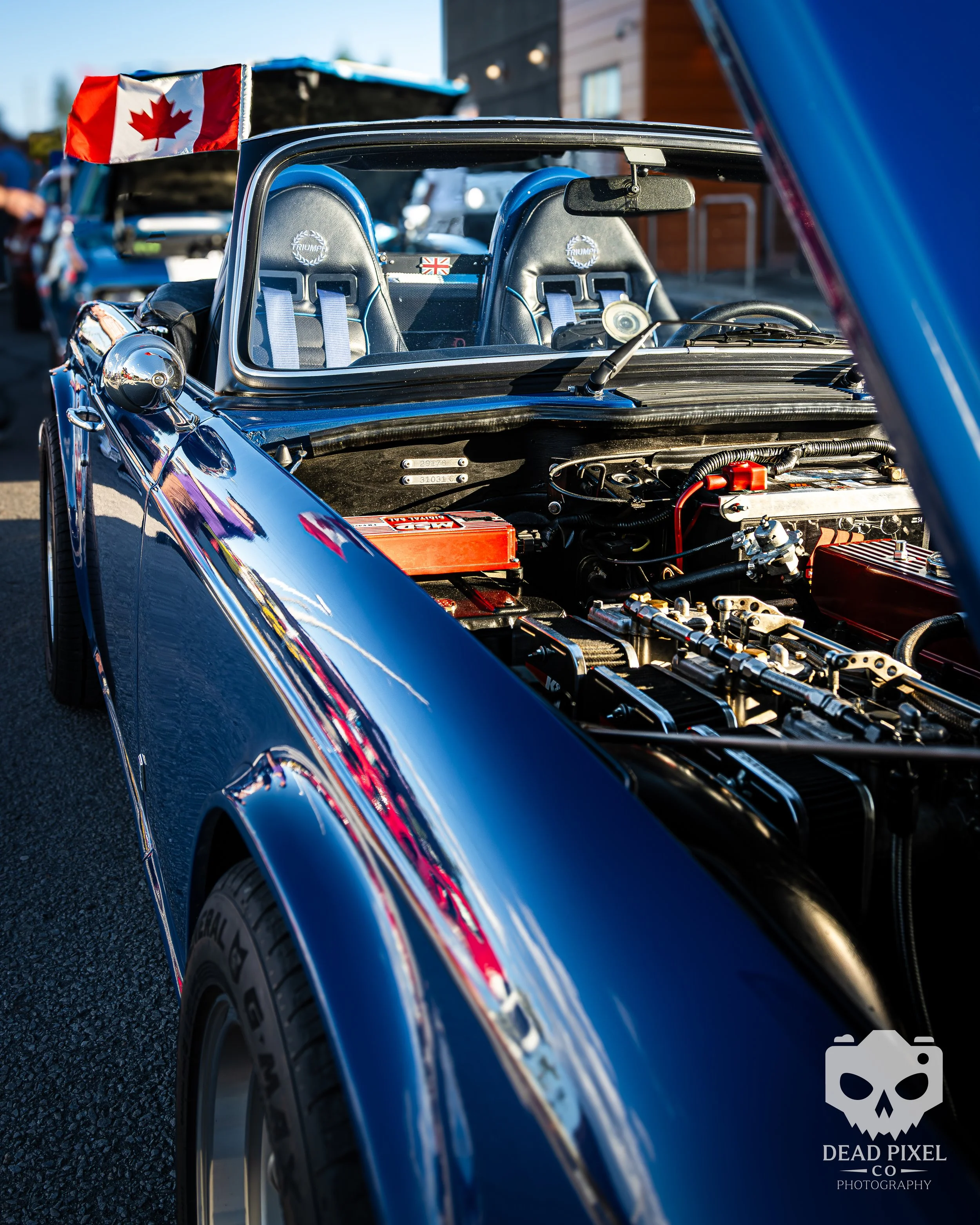 TR6-2.jpg