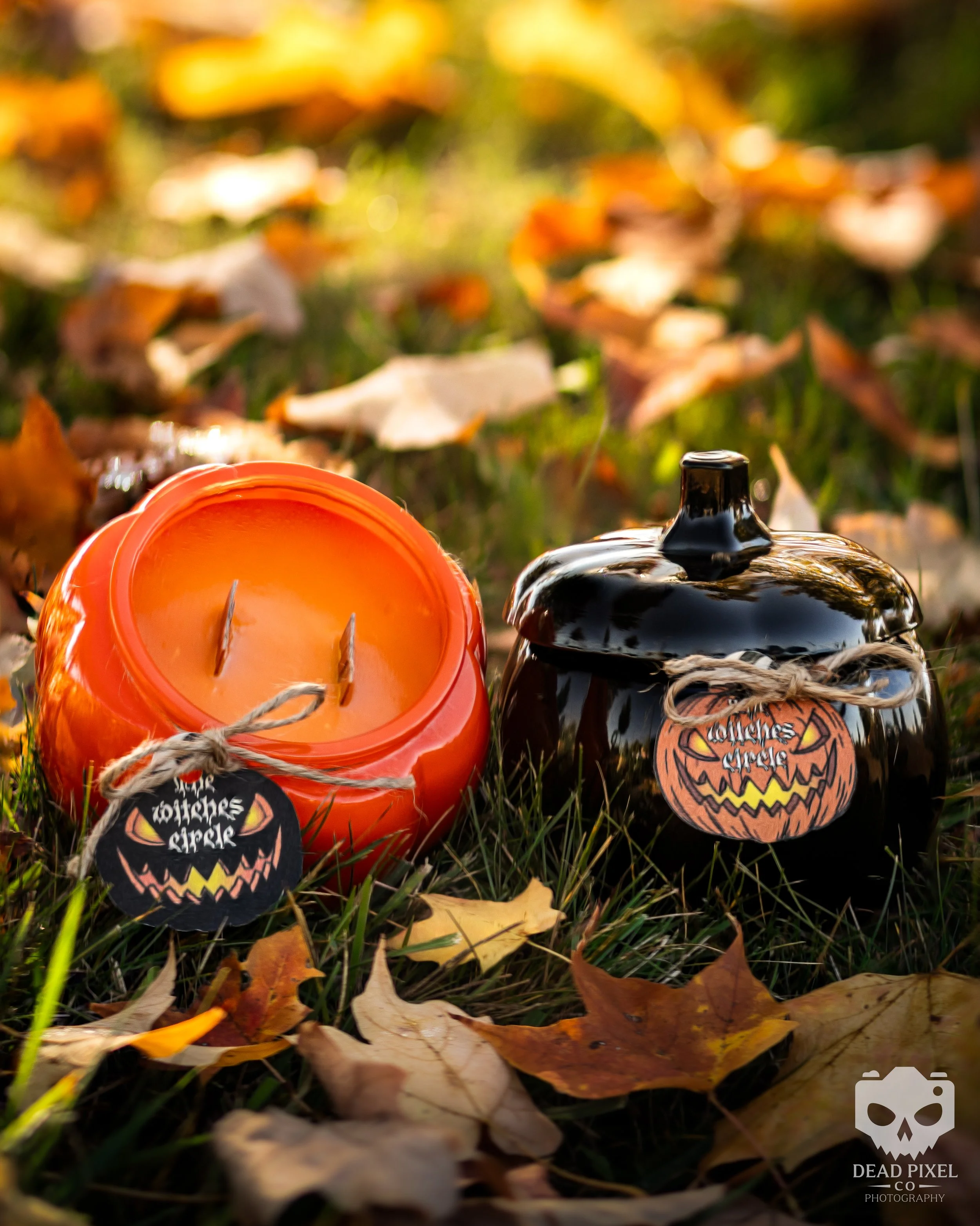 Pumpkin Product Photo-1.jpg