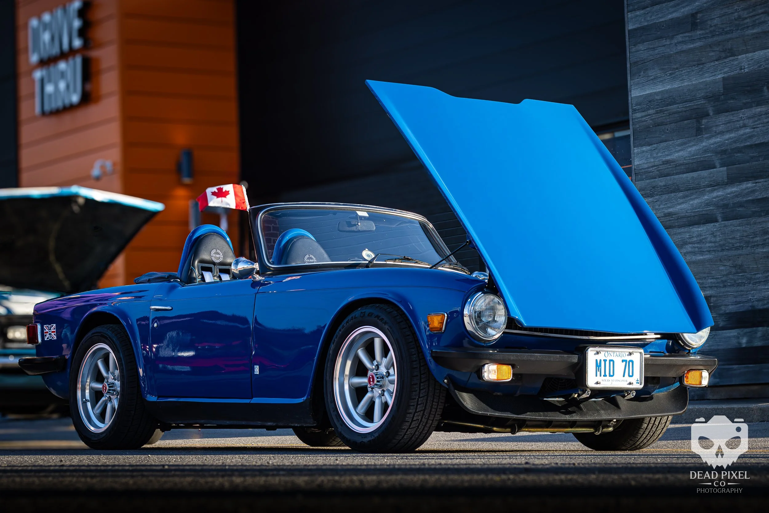 TR6.jpg