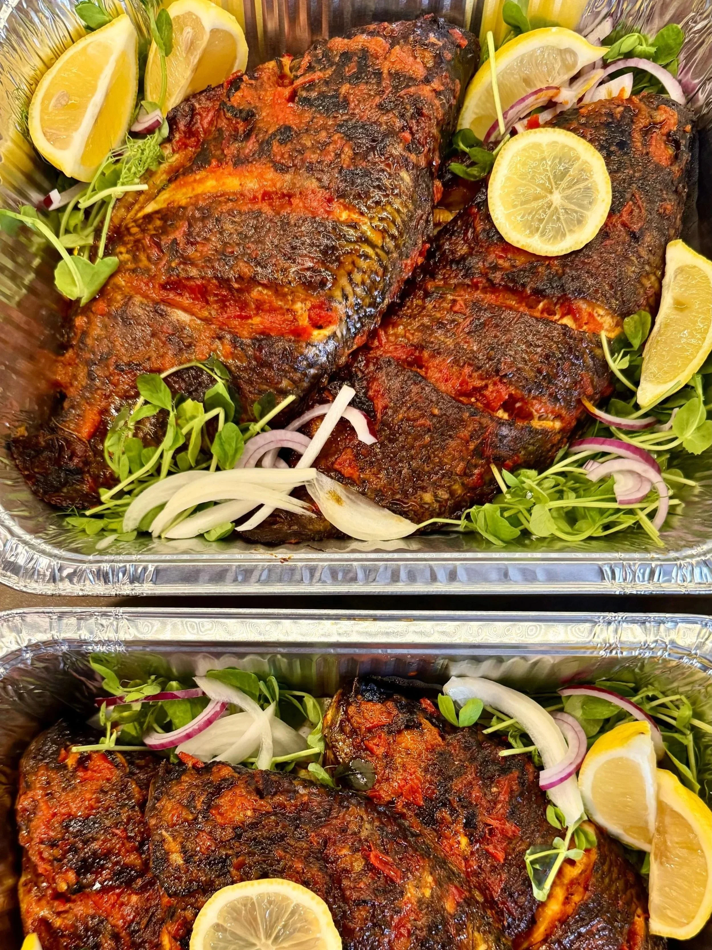 Tilapia.jpg