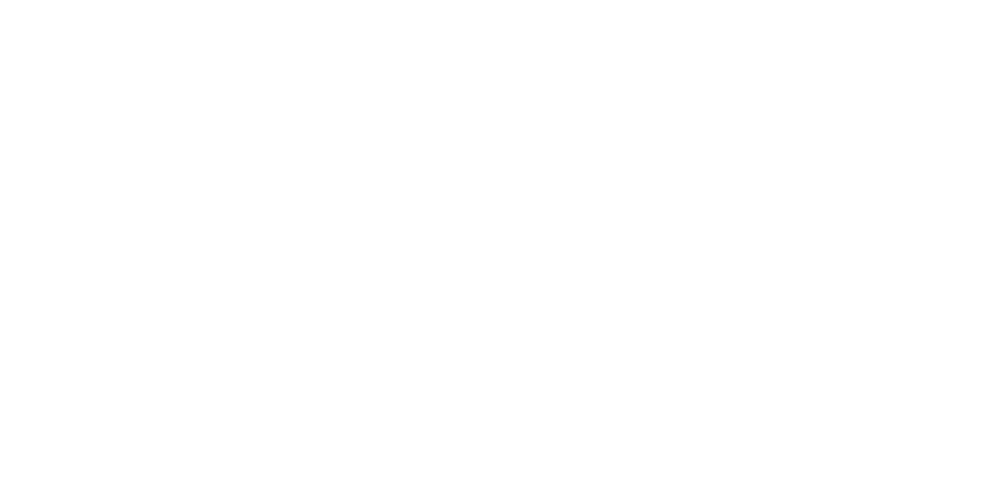CHERNEGA CONSTRUCTION
