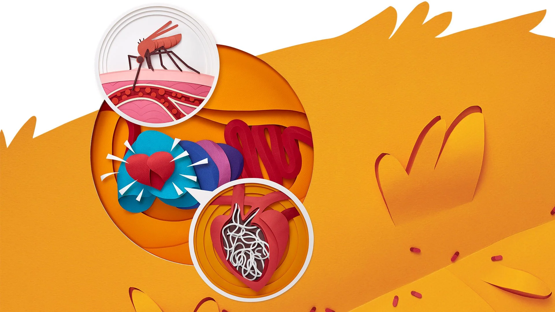 MultiInflammation_Fur_1920x1080.jpg