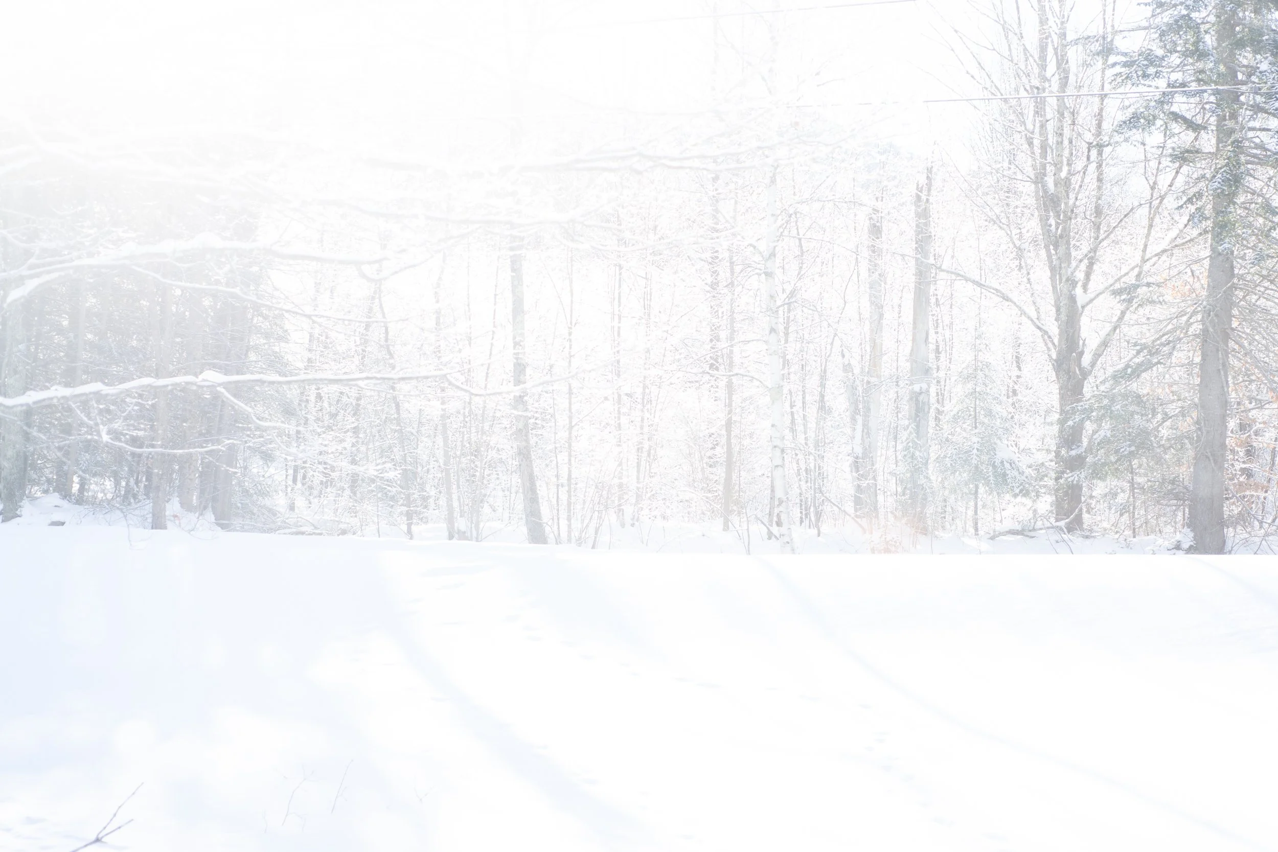 harnessing capricorn 