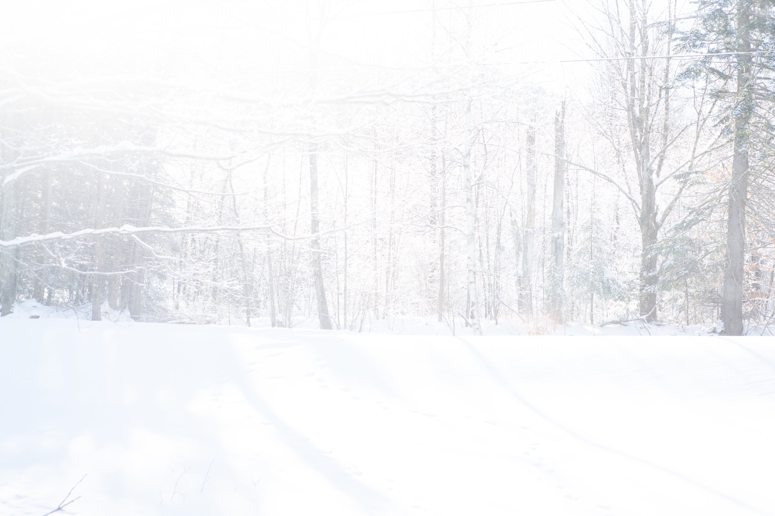 Harnessing Capricorn