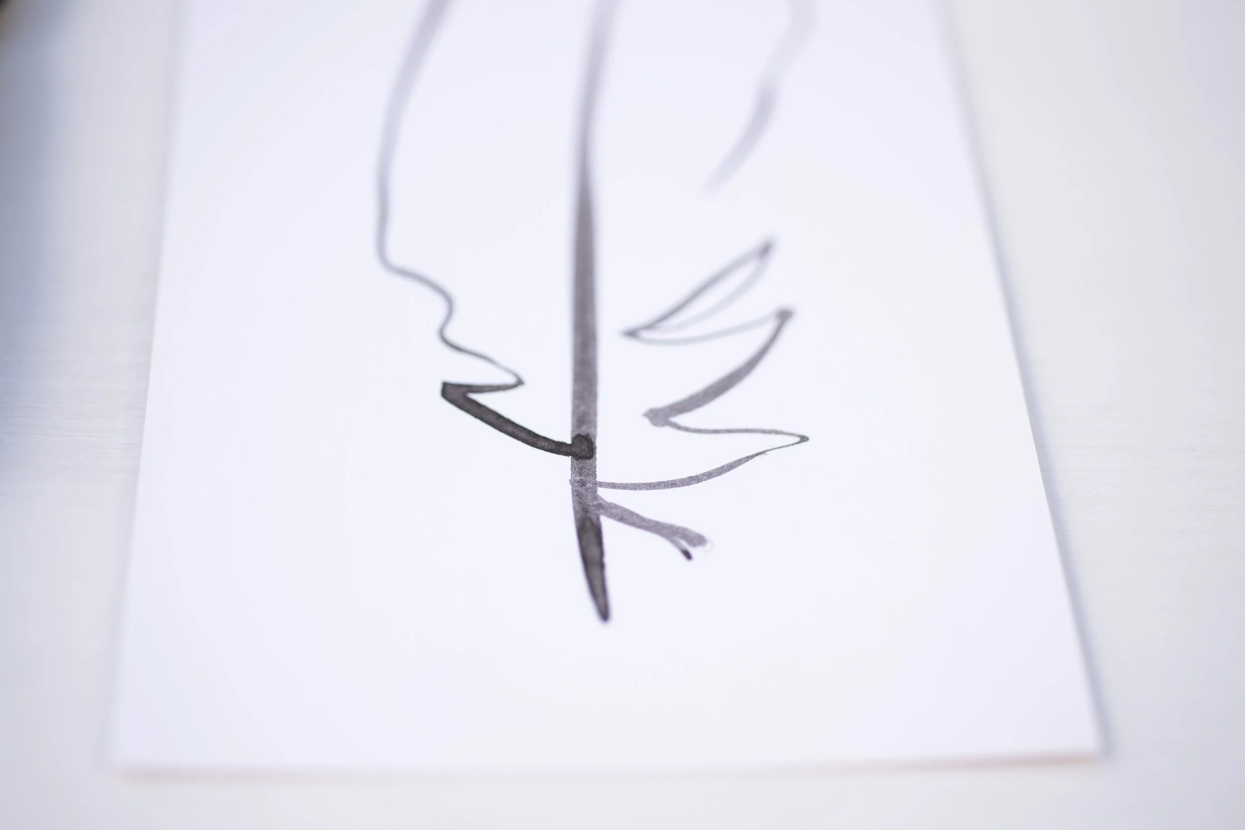 When a Single Feather Falls from the Sky