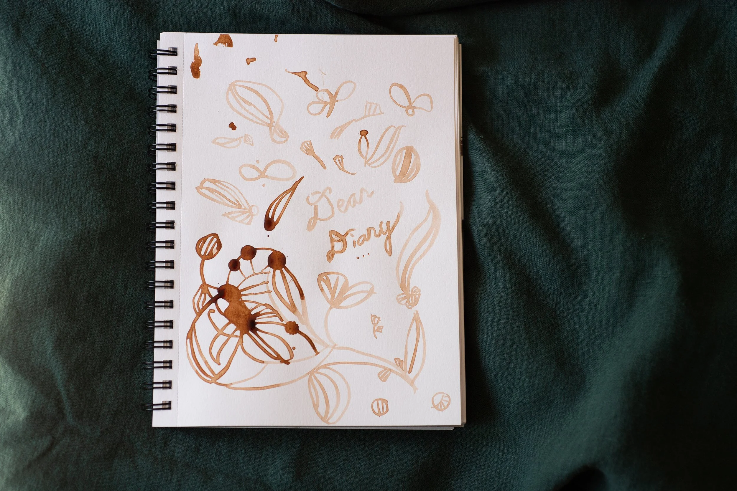 DSC_7742sm.jpg