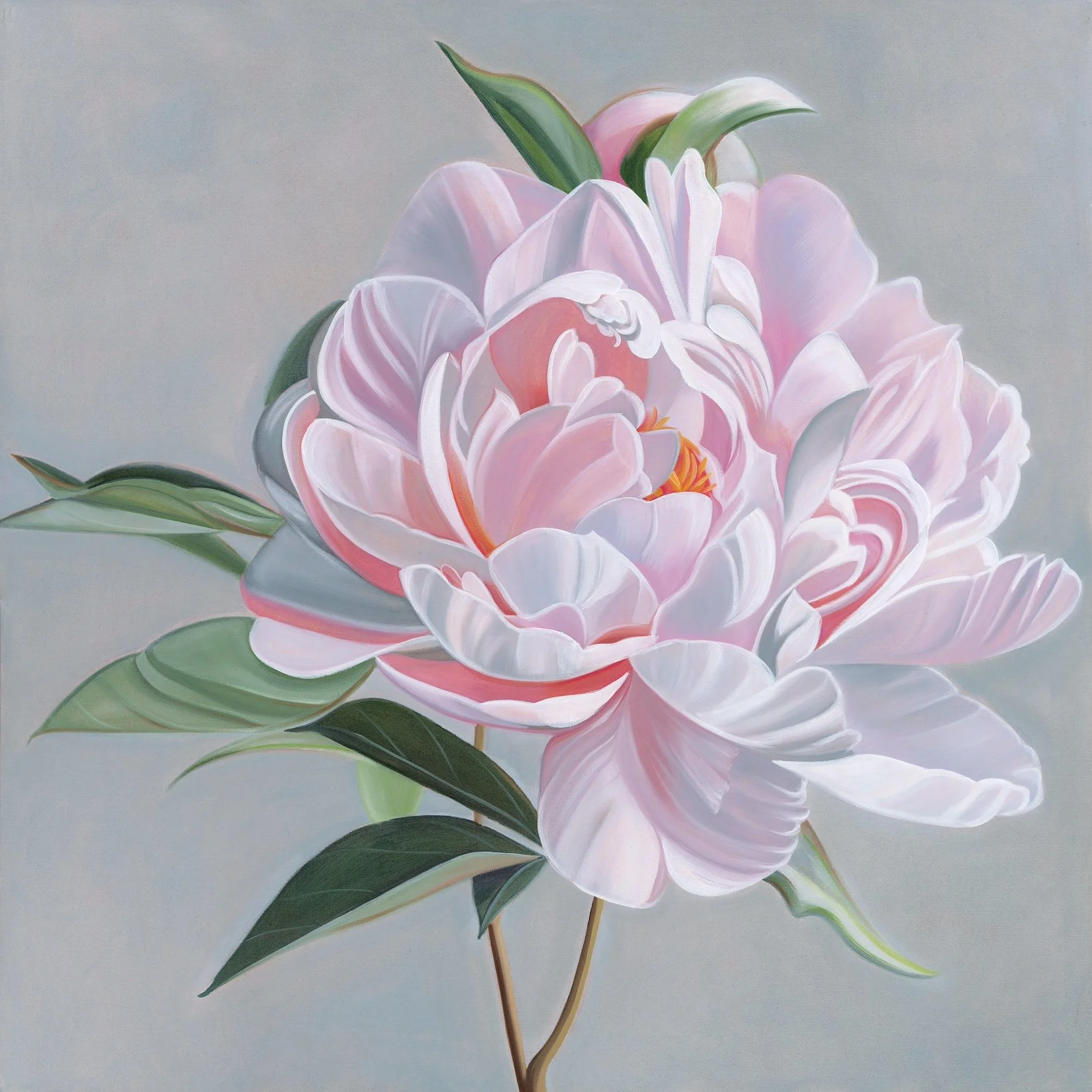 image0.jpeg