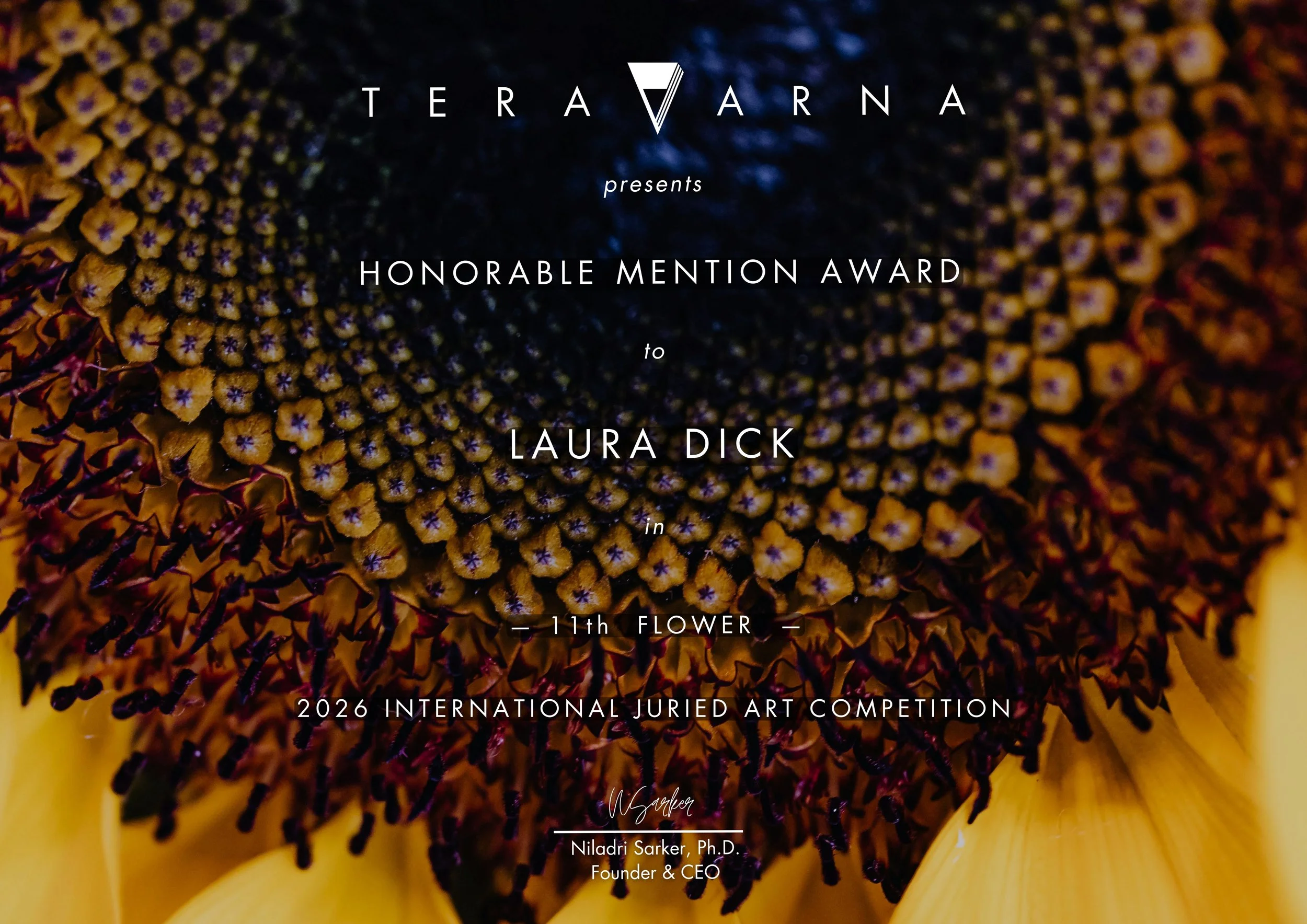 A close-up photograph of a sunflower with text overlay indicating an award for Laura Dick in the 11th Flower International Juired Art Competition, presented by TeraVana.