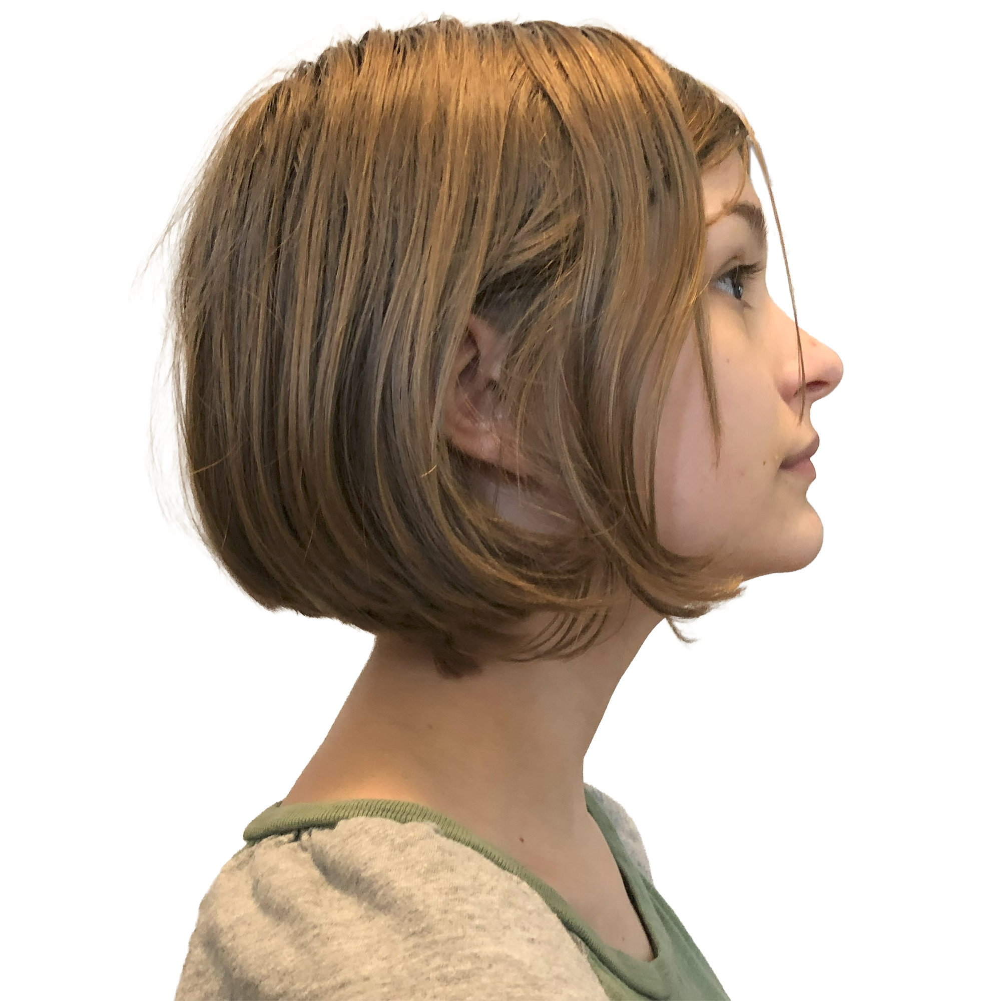 Josie (reference photo)