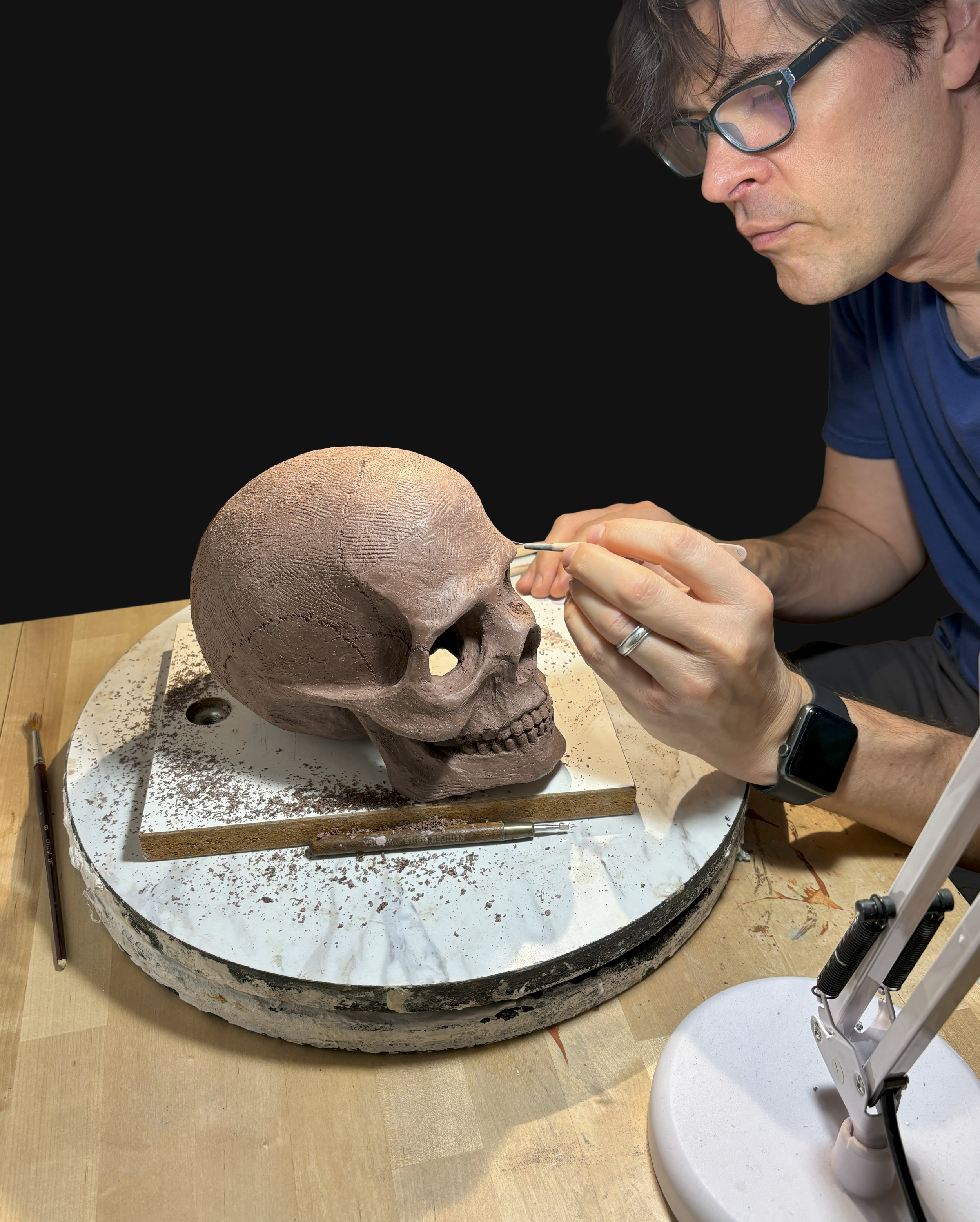 Detailing the model (anatomical study).