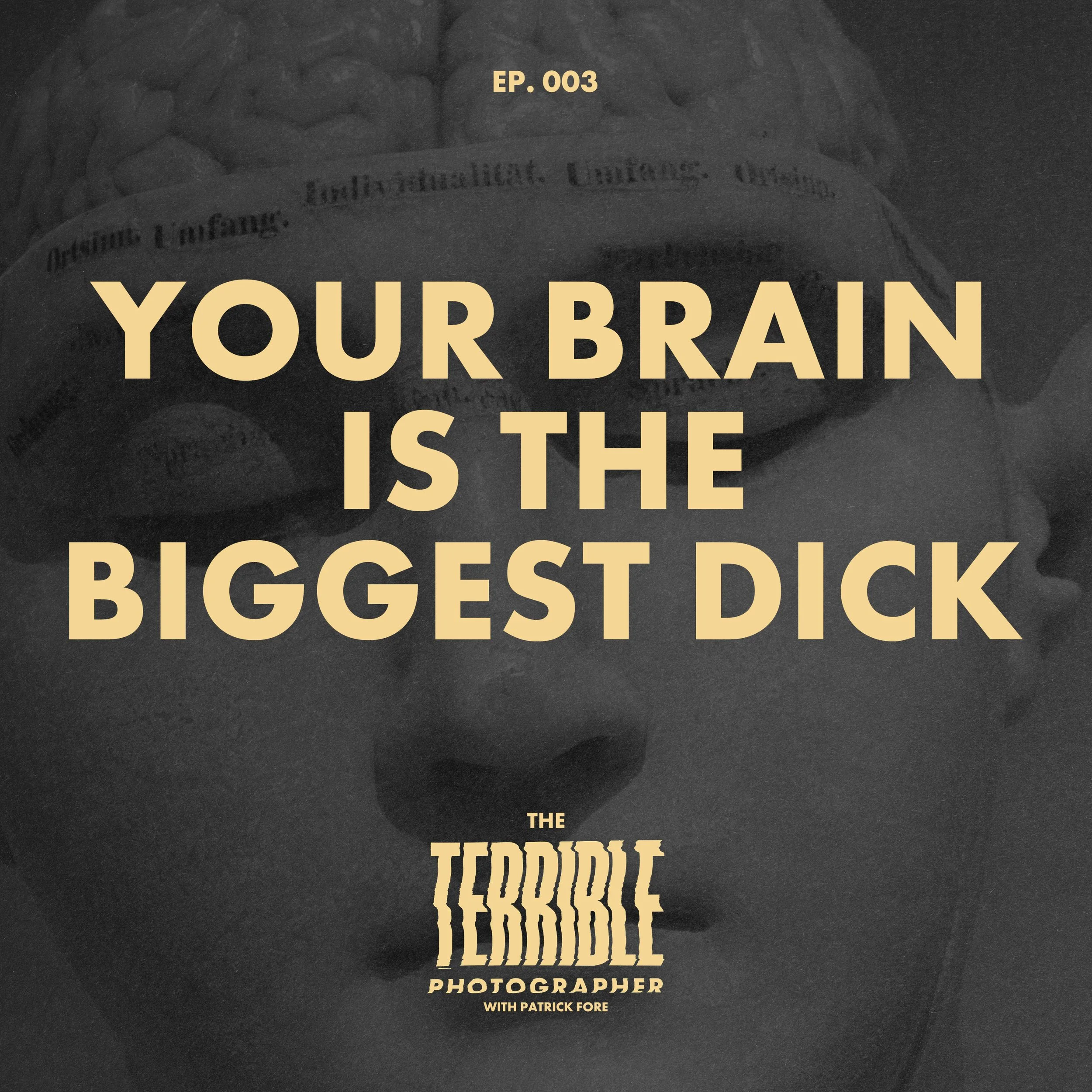 TerriblePhoto-AlbulmArt-BrainBiggestDick.jpg