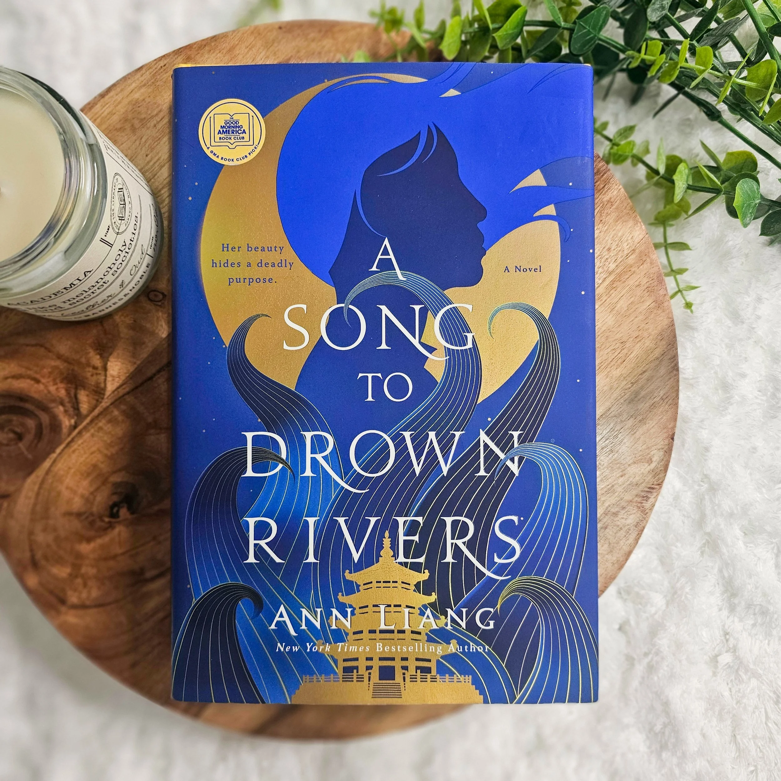 A Song to Drown Rivers |  Ann Liang