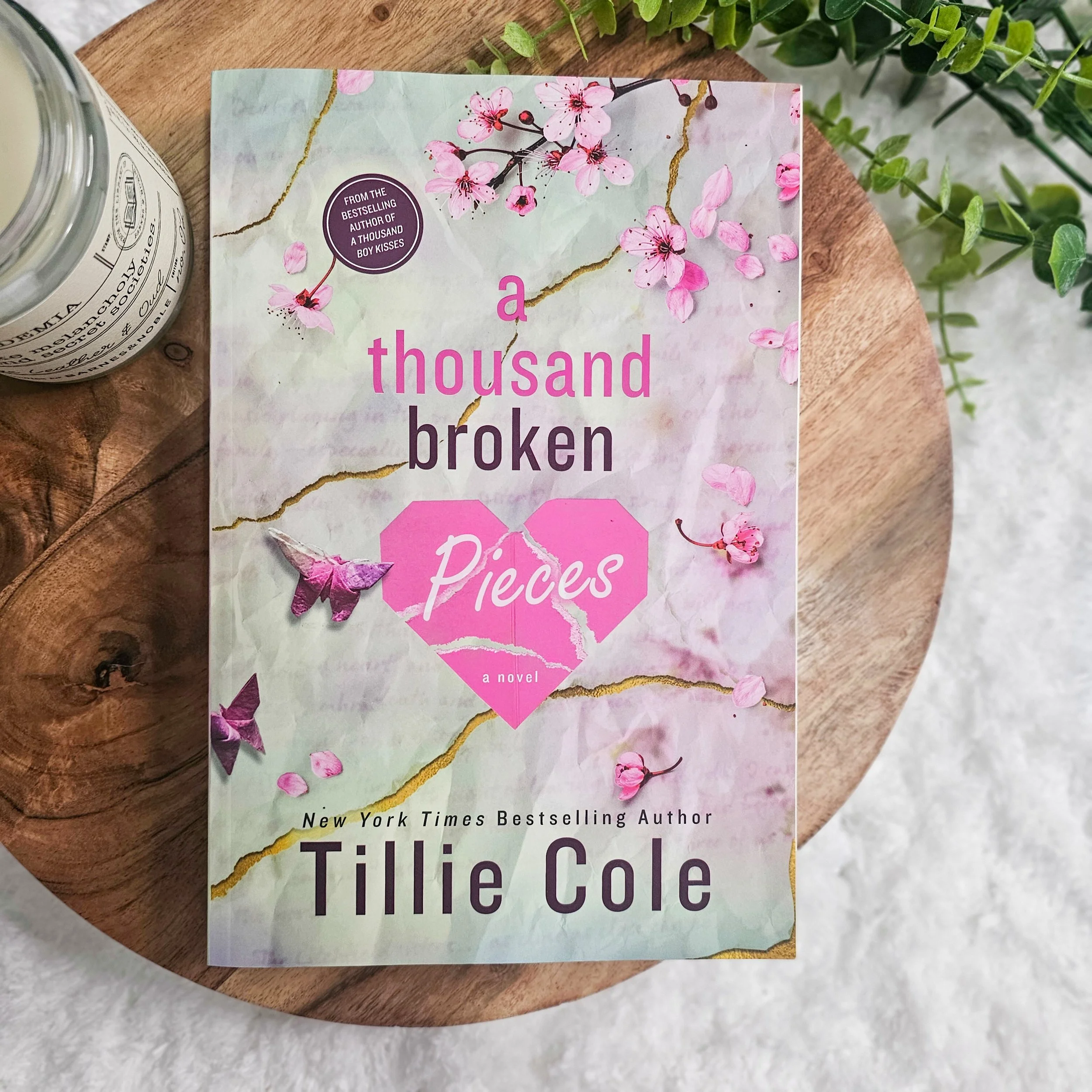 A Thousand Broken Pieces | Tillie Cole