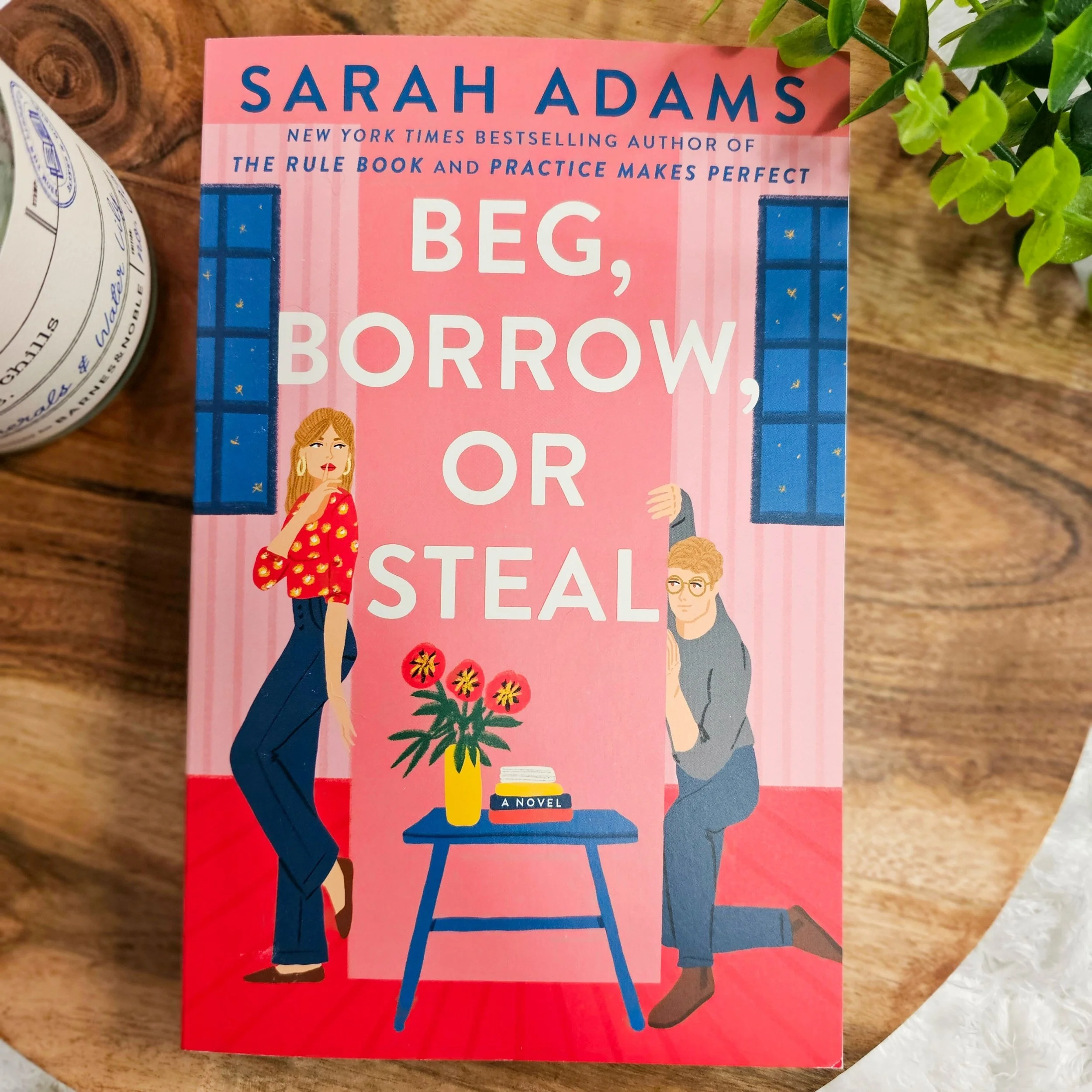 Beg, Borrow, or Steal | Sarah Adams