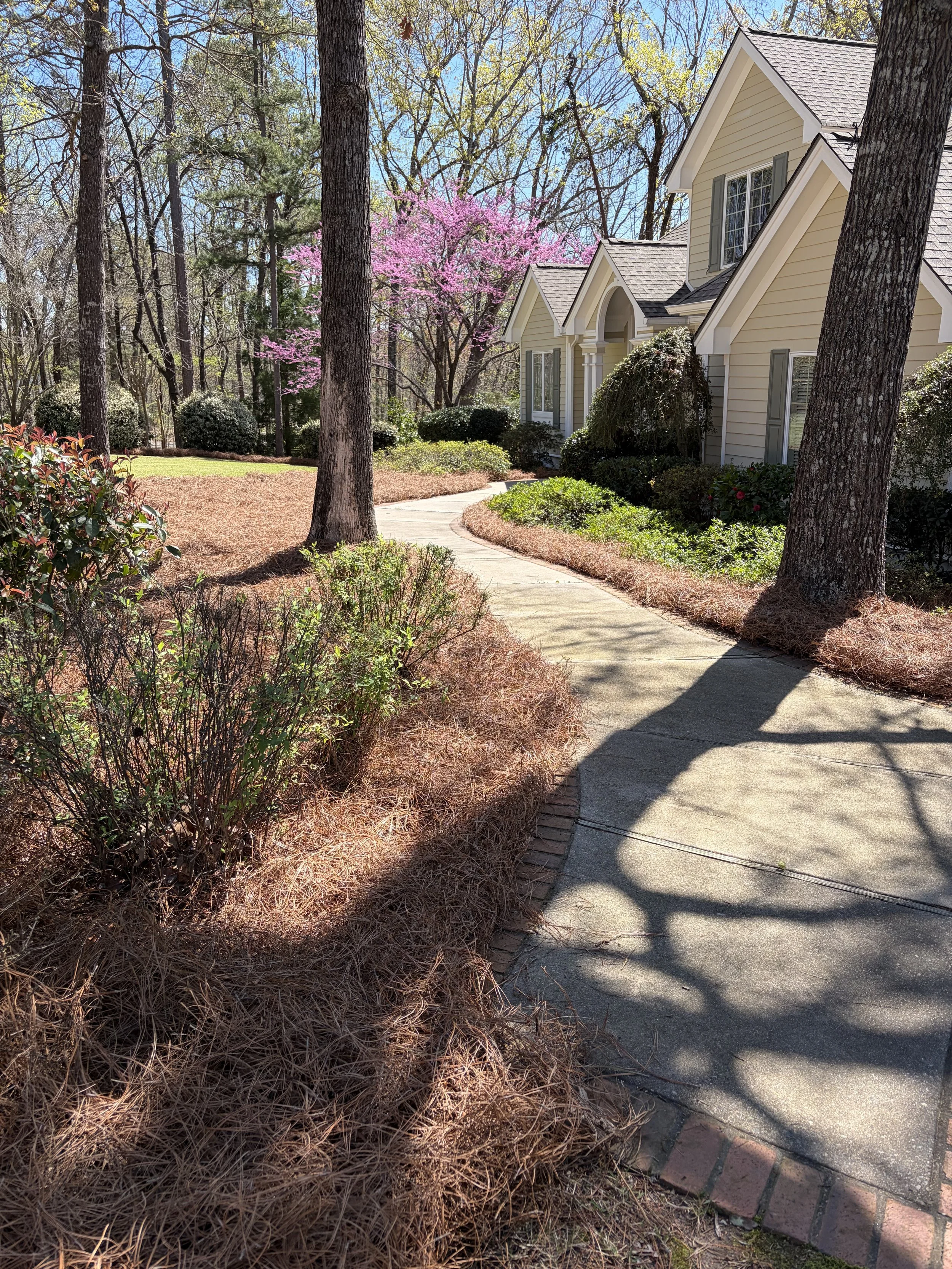 Residential landscaping with fresh mulch and shrub trimming at a Lake Oconee home