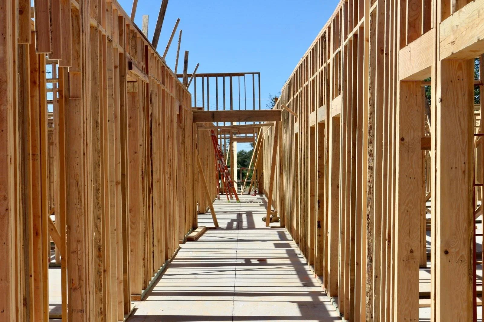 WhatsApp Image 2026-04-02 at 11.18.53 AM (5).jpeg